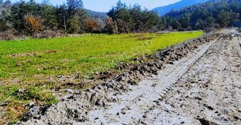 Muğla Menteşe Gevenes Mevkide 1.726 M2 Satılık Tarla - Görsel 3