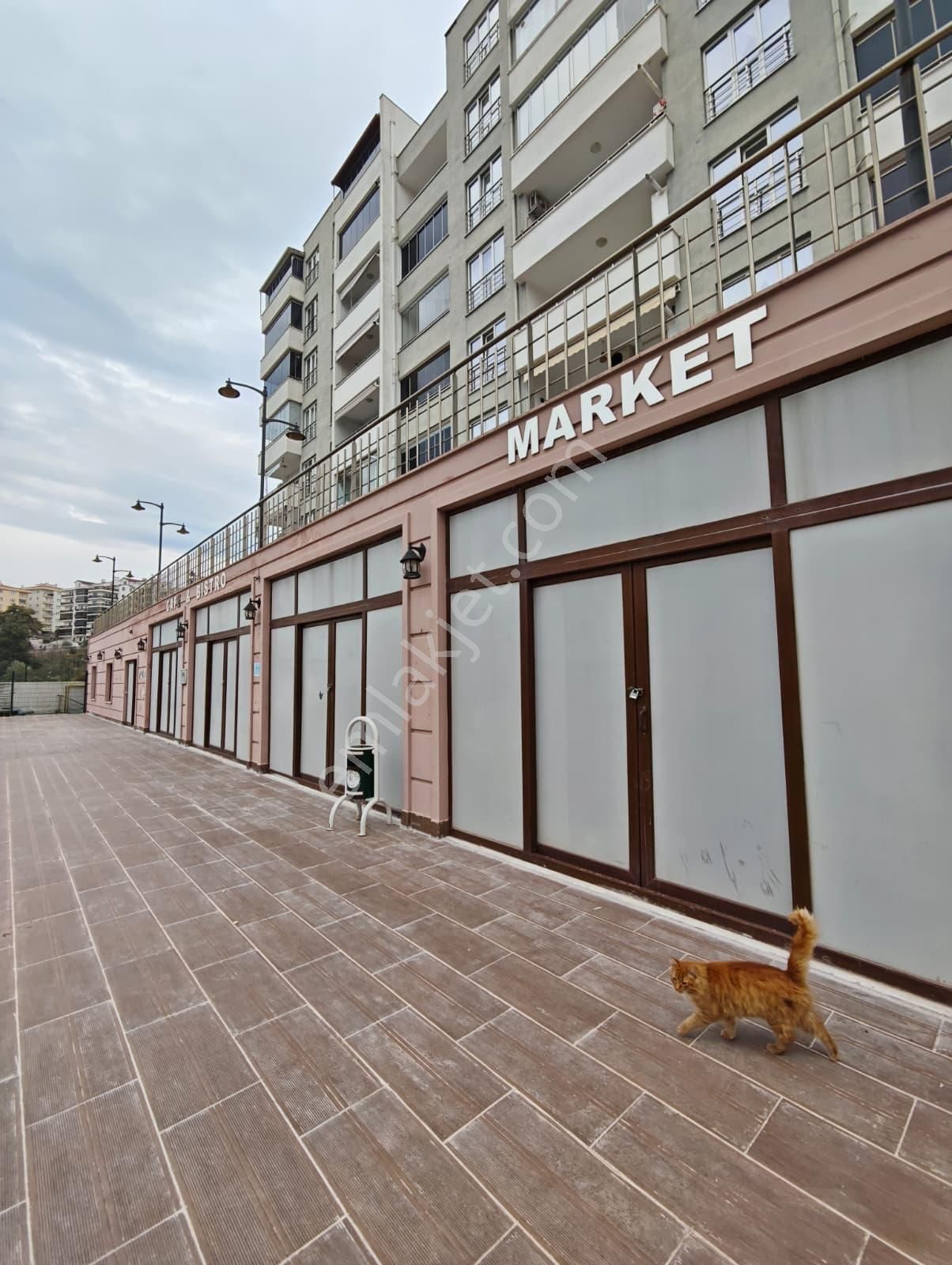 Deniz Manzaralı Daire Burgaz'da - Görsel 9