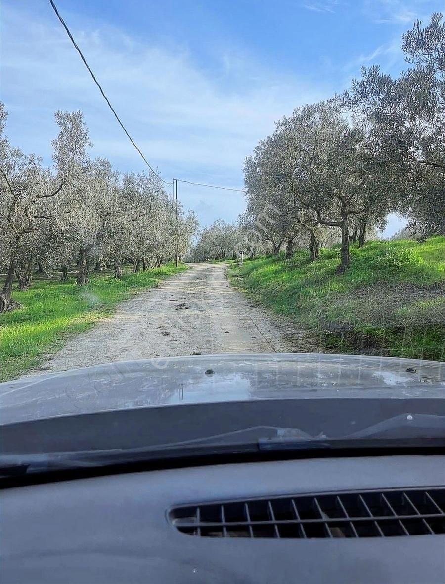 Denizden Umurbeyde Yola Cephe Yatırımlık Arsa
