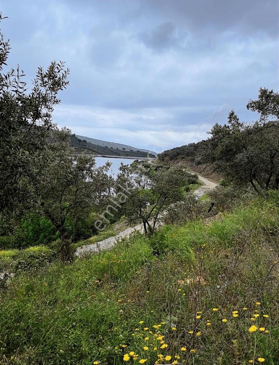 Küçük Kumla Köyünde Satılık Göl Manzalı Arsa - Görsel 17