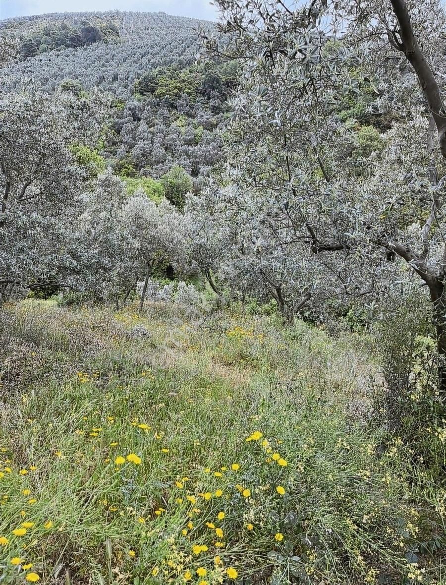 Küçük Kumla Köyünde Satılık Göl Manzalı Arsa - Görsel 26