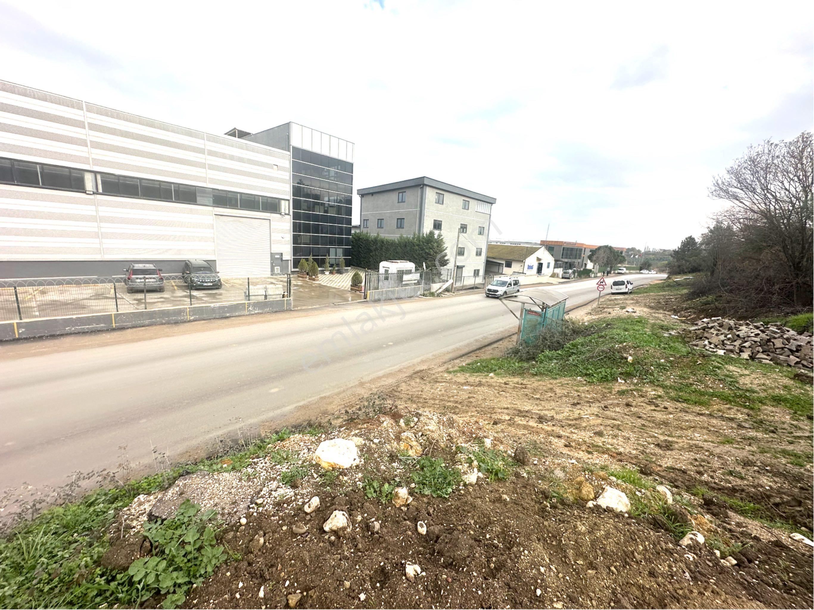 Tırpan Gayrimenkulden Kayapa Organize Sanayi Ve Asfalta Cepheli 2600m2 Zeytinlik