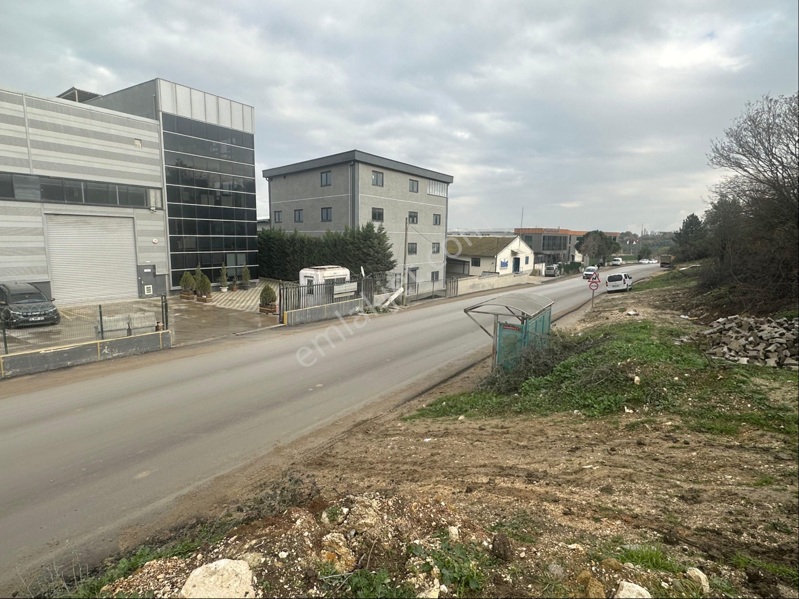 Tırpan Gayrimenkulden Kayapa Organize Sanayi Ve Asfalta Cepheli 2600m2 Zeytinlik - Görsel 7