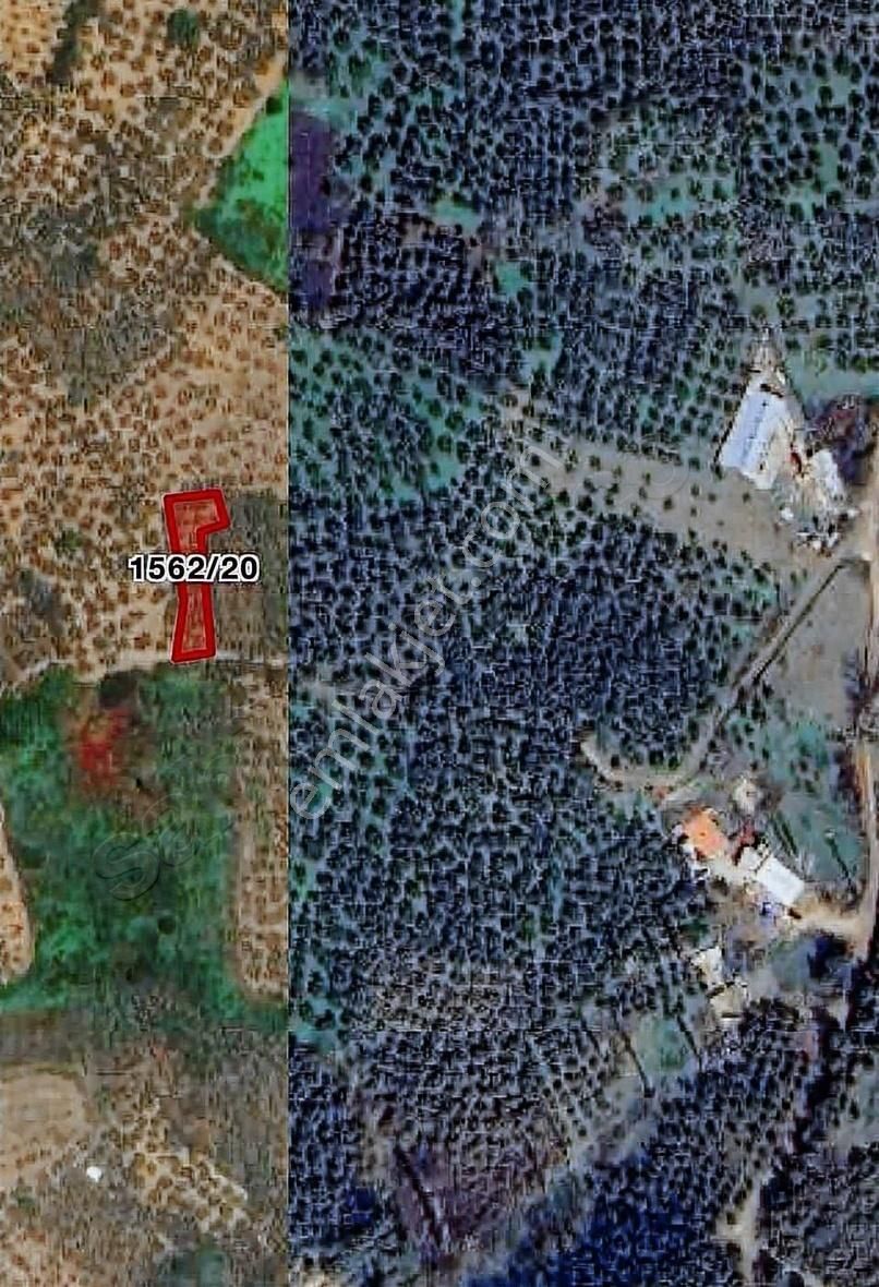 Umur Beyde İmar Gibi Resmi Yola Cephe Satılık Arsa - Görsel 5