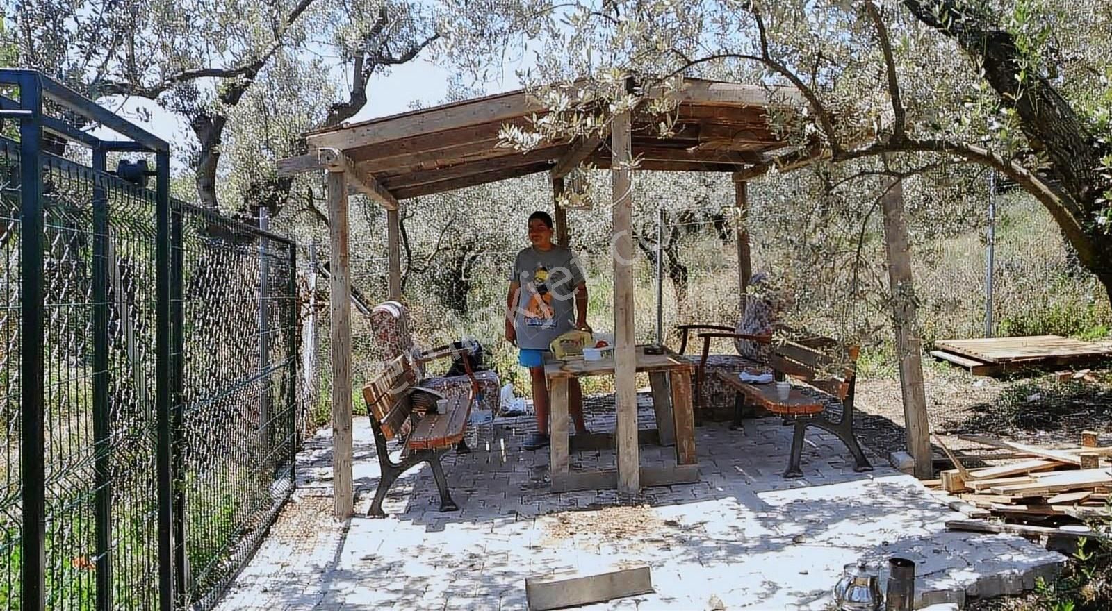 Umur Beyde İmar Gibi Resmi Yola Cephe Satılık Arsa - Görsel 6