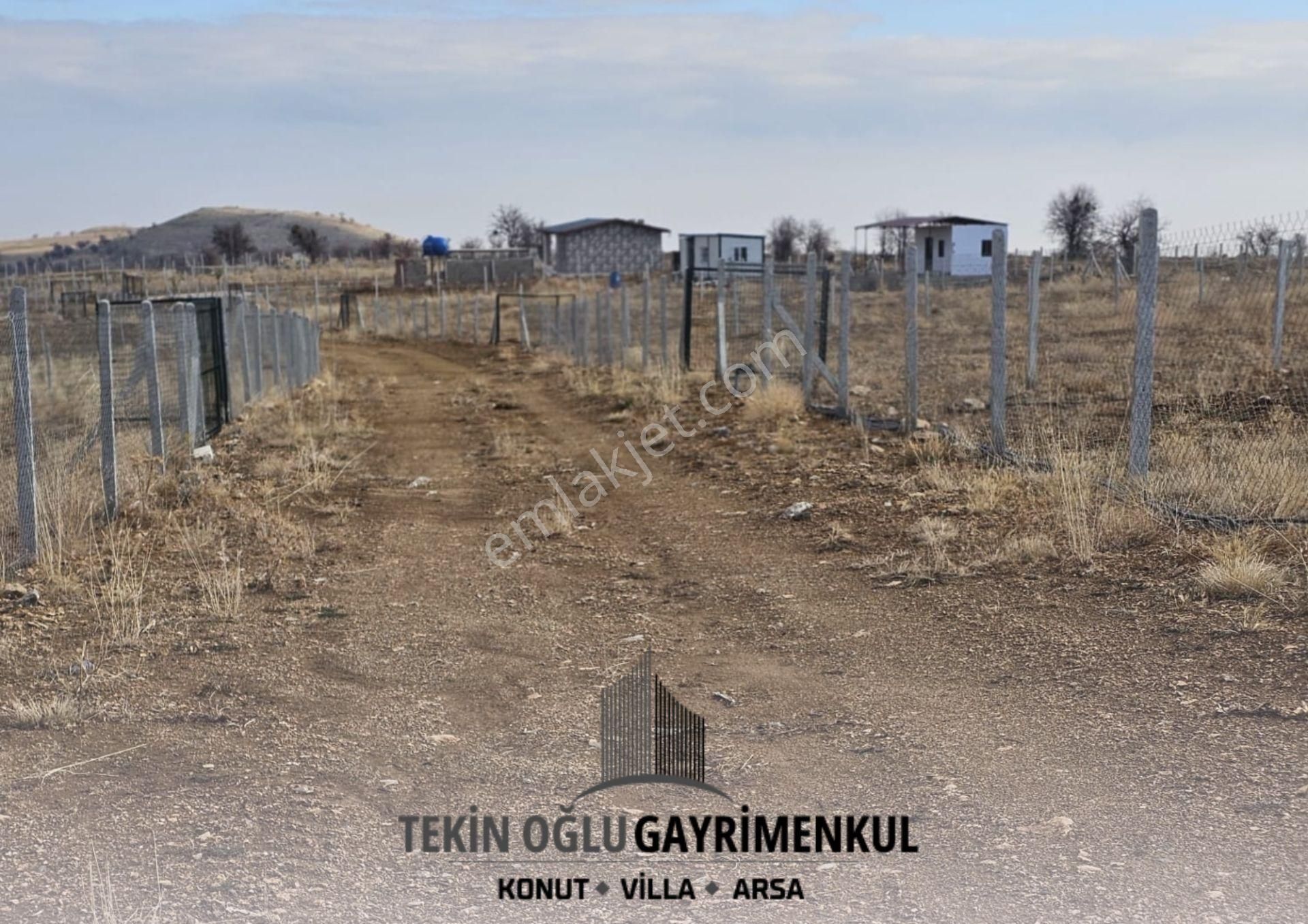 🌿 Doğayla İç İçe Meram Karadiğin 1.666 M² Tarla - Görsel 12