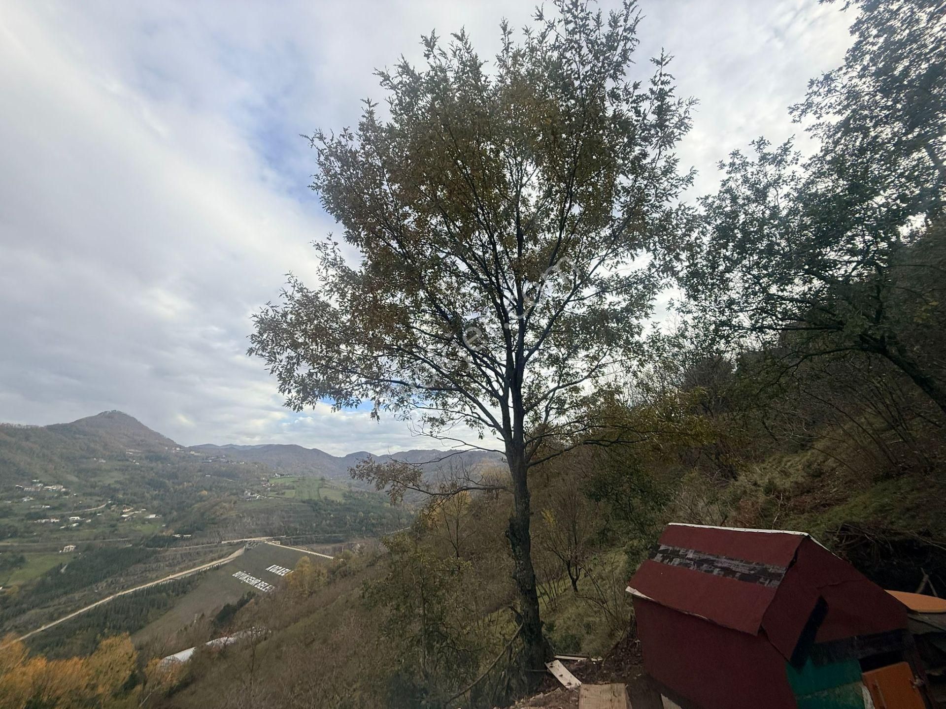 Başiskele Yuvacık 'ta Baraj Manzaralı Yatırımlık Satılık Arsa - Görsel 7