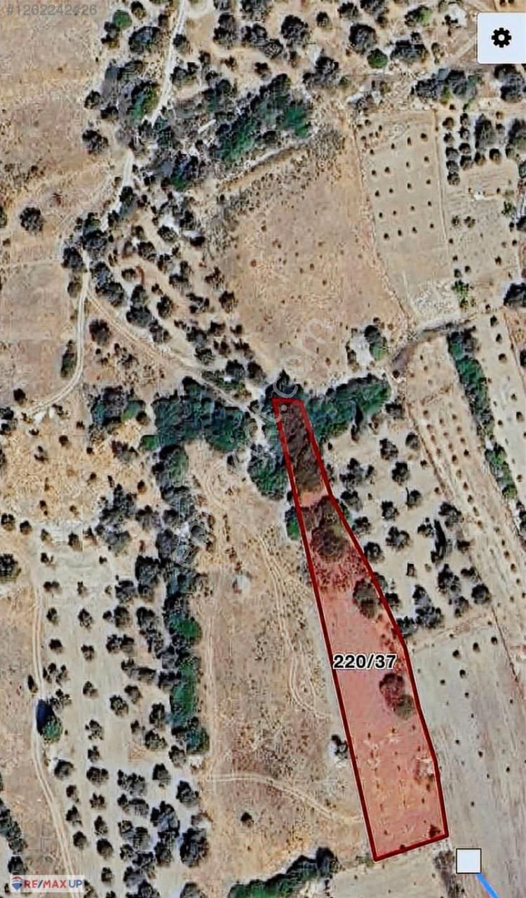 Karaburun Kösedere'de 3600m2 Tarla - Görsel 2