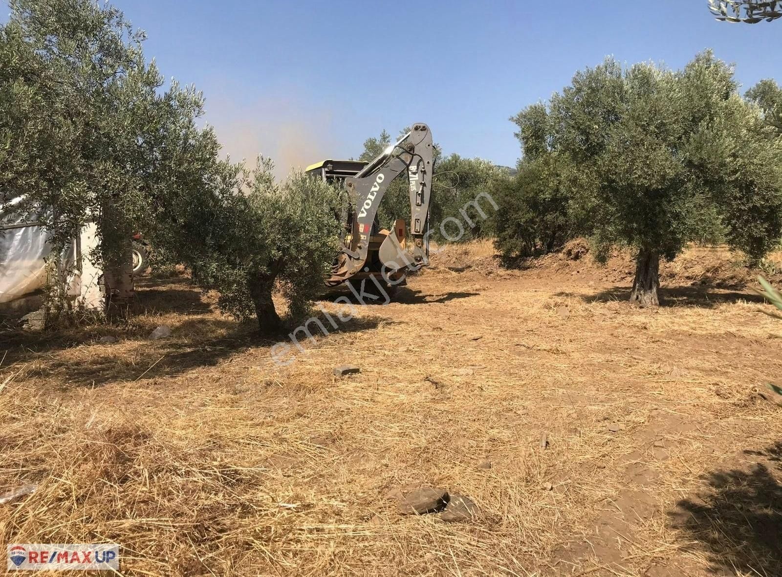 Bayındır Yakapınar'da Tarım Ve Hayvancılığa Uygun Zeytinli Tarla - Görsel 21