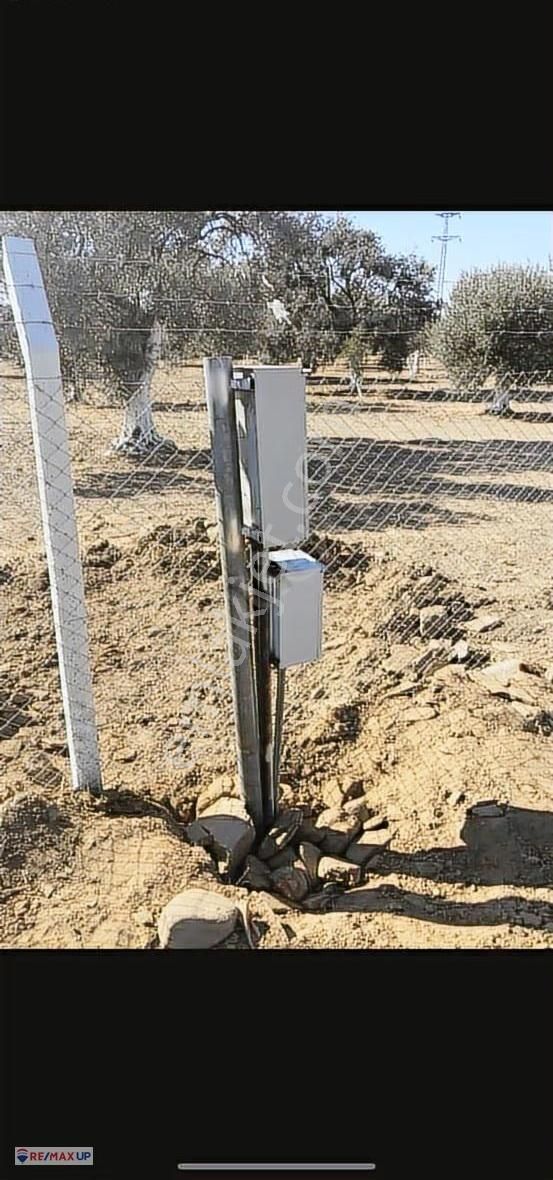 Bayındır Yakapınar'da Tarım Ve Hayvancılığa Uygun Zeytinli Tarla - Görsel 12