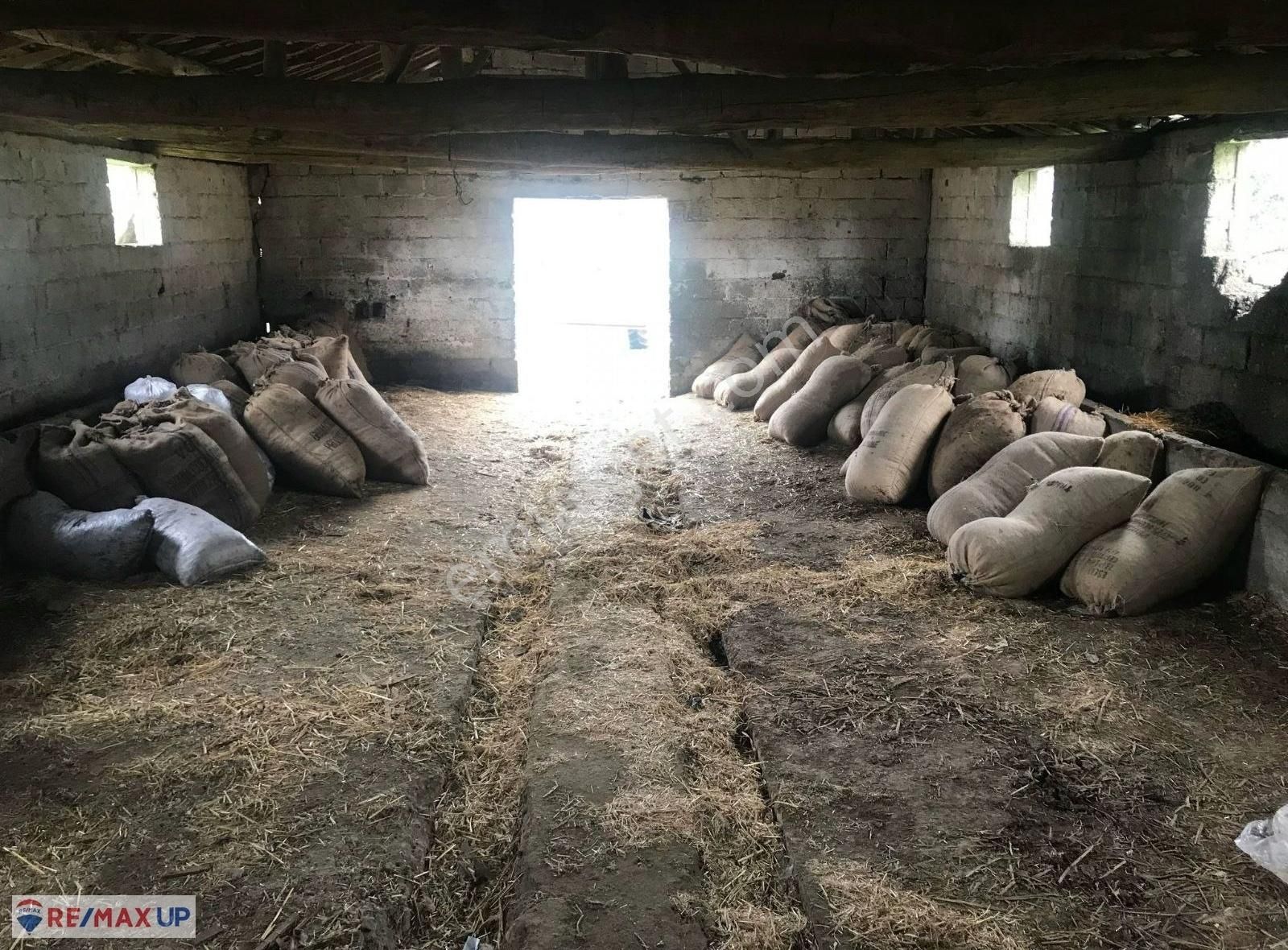 Bayındır Yakapınar'da Tarım Ve Hayvancılığa Uygun Zeytinli Tarla - Görsel 23