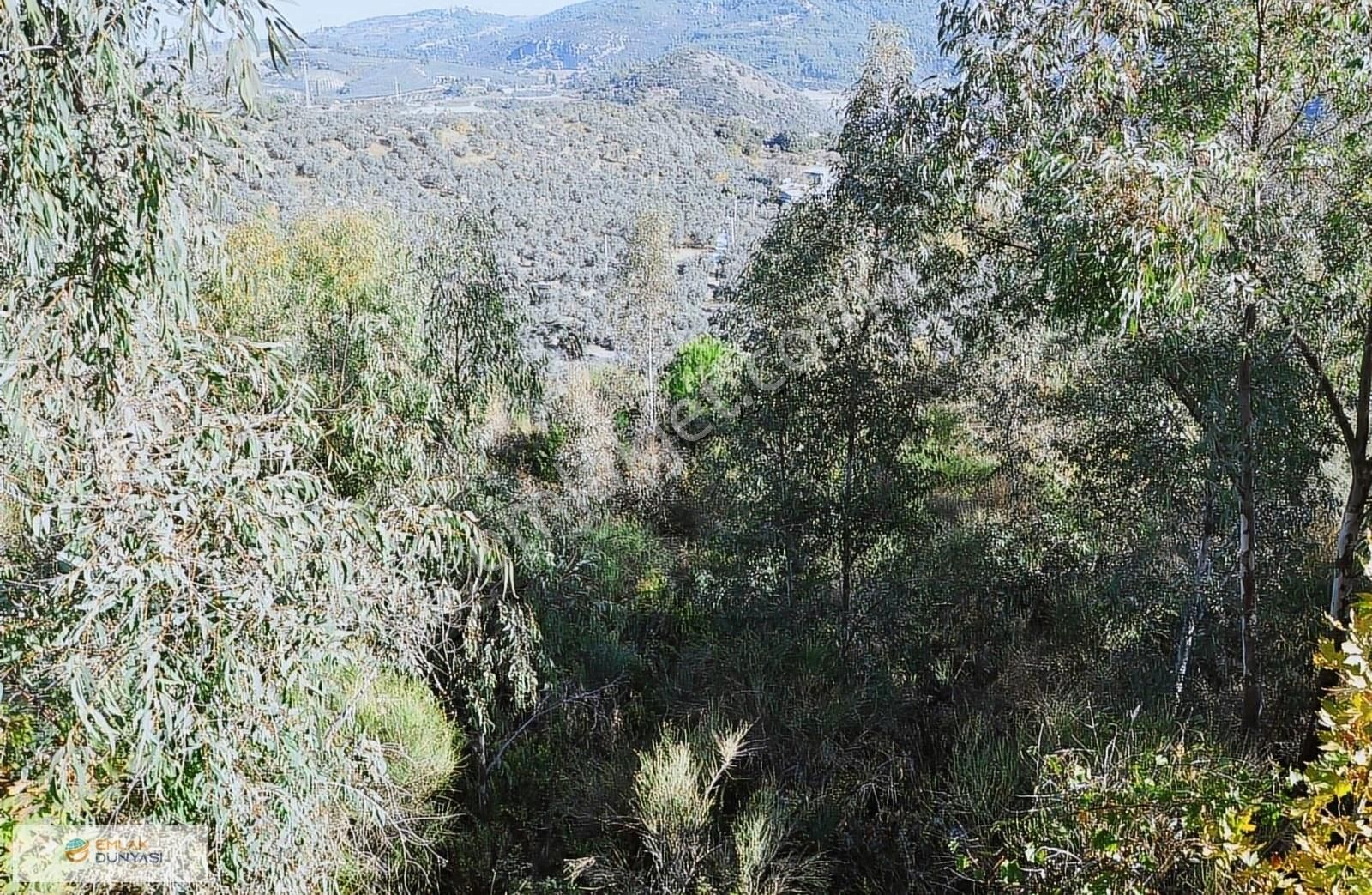 Kuşadası Golf Otelin Yanı Turizim&ticari İmarlı 90 Dönüm Arsa - Görsel 16