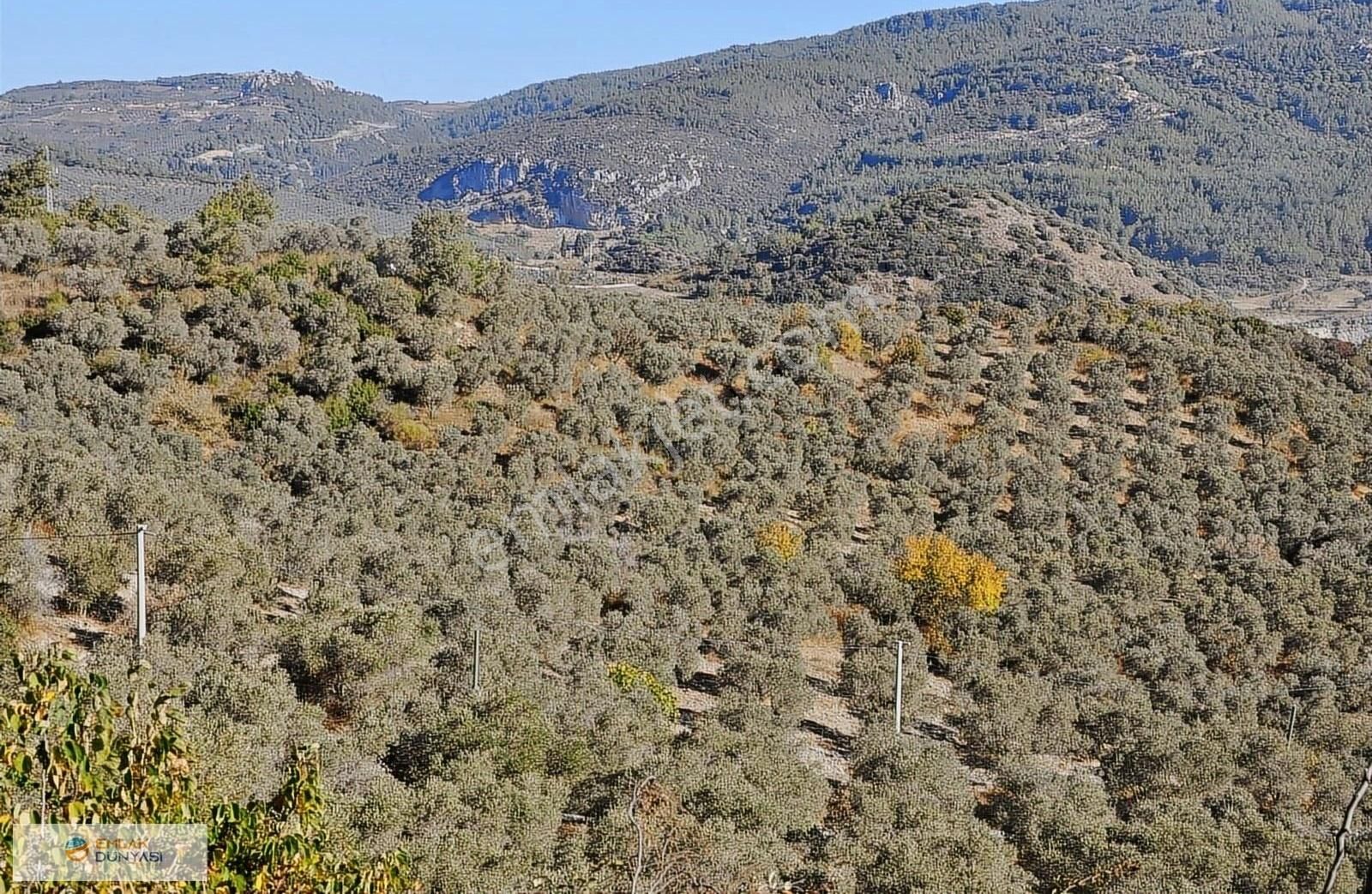 Kuşadası Golf Otelin Yanı Turizim&ticari İmarlı 90 Dönüm Arsa - Görsel 5