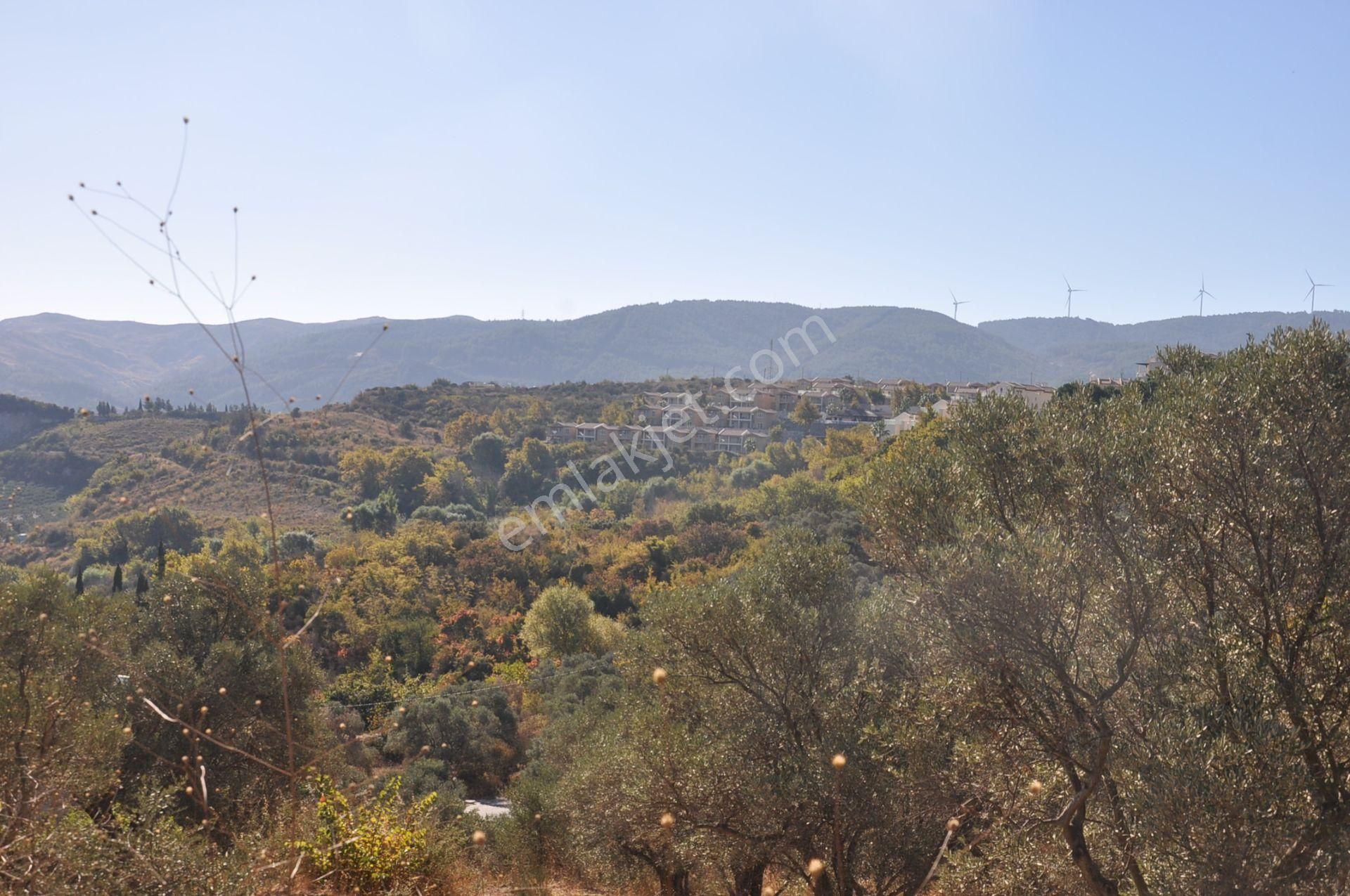 Kuşadası Golf Oteli Yanı Deniz Manzaralı 63 Dönüm Trzm+tic. Arsa - Görsel 30