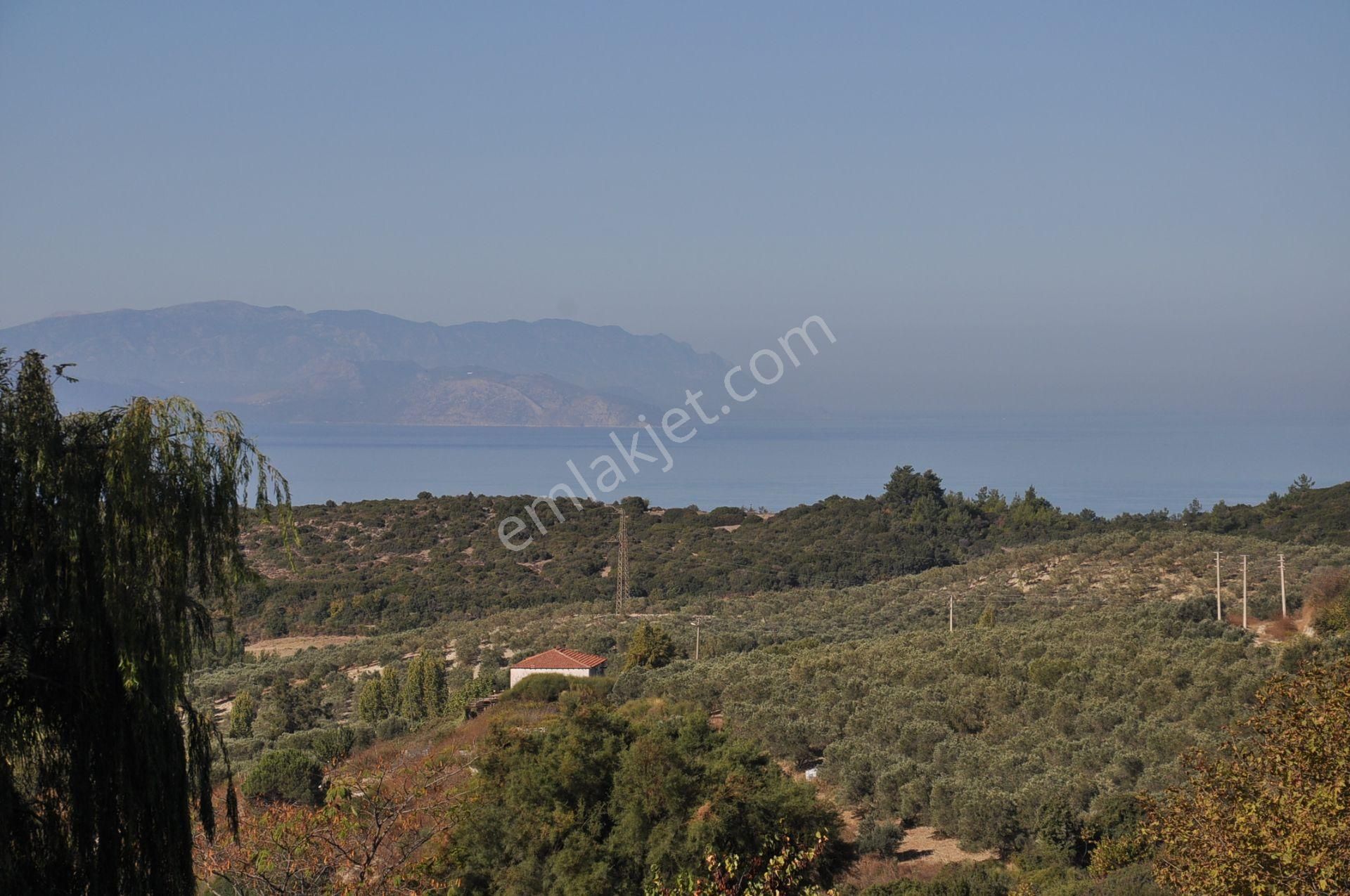 Kuşadası Golf Oteli Yanı Deniz Manzaralı 63 Dönüm Trzm+tic. Arsa - Görsel 7