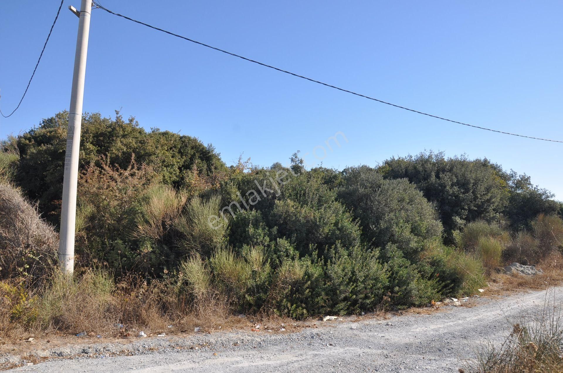 Kuşadası Golf Oteli Yanı Deniz Manzaralı 63 Dönüm Trzm+tic. Arsa - Görsel 24