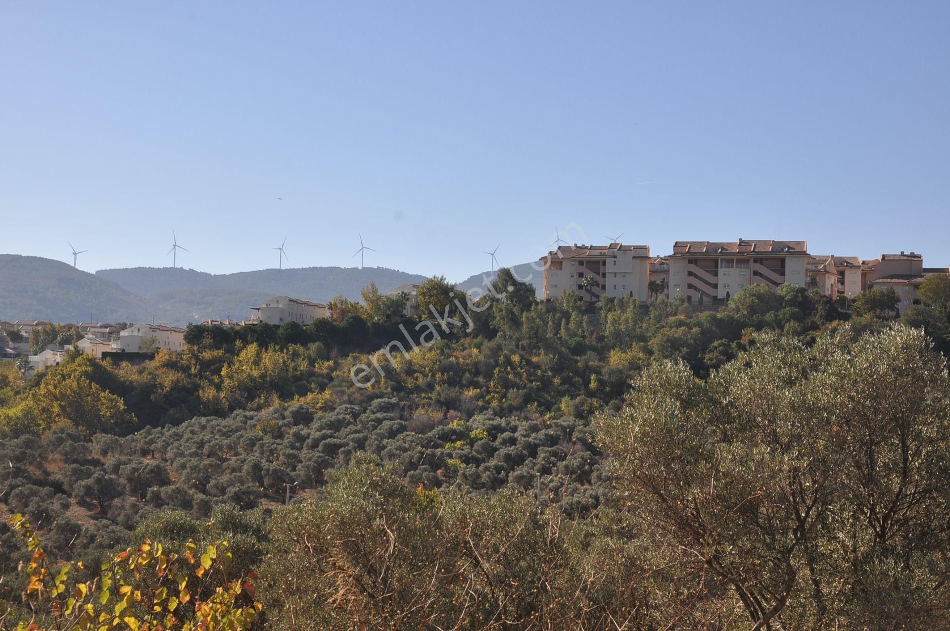 Kuşadası Golf Oteli Yanı Deniz Manzaralı 63 Dönüm Trzm+tic. Arsa - Görsel 4