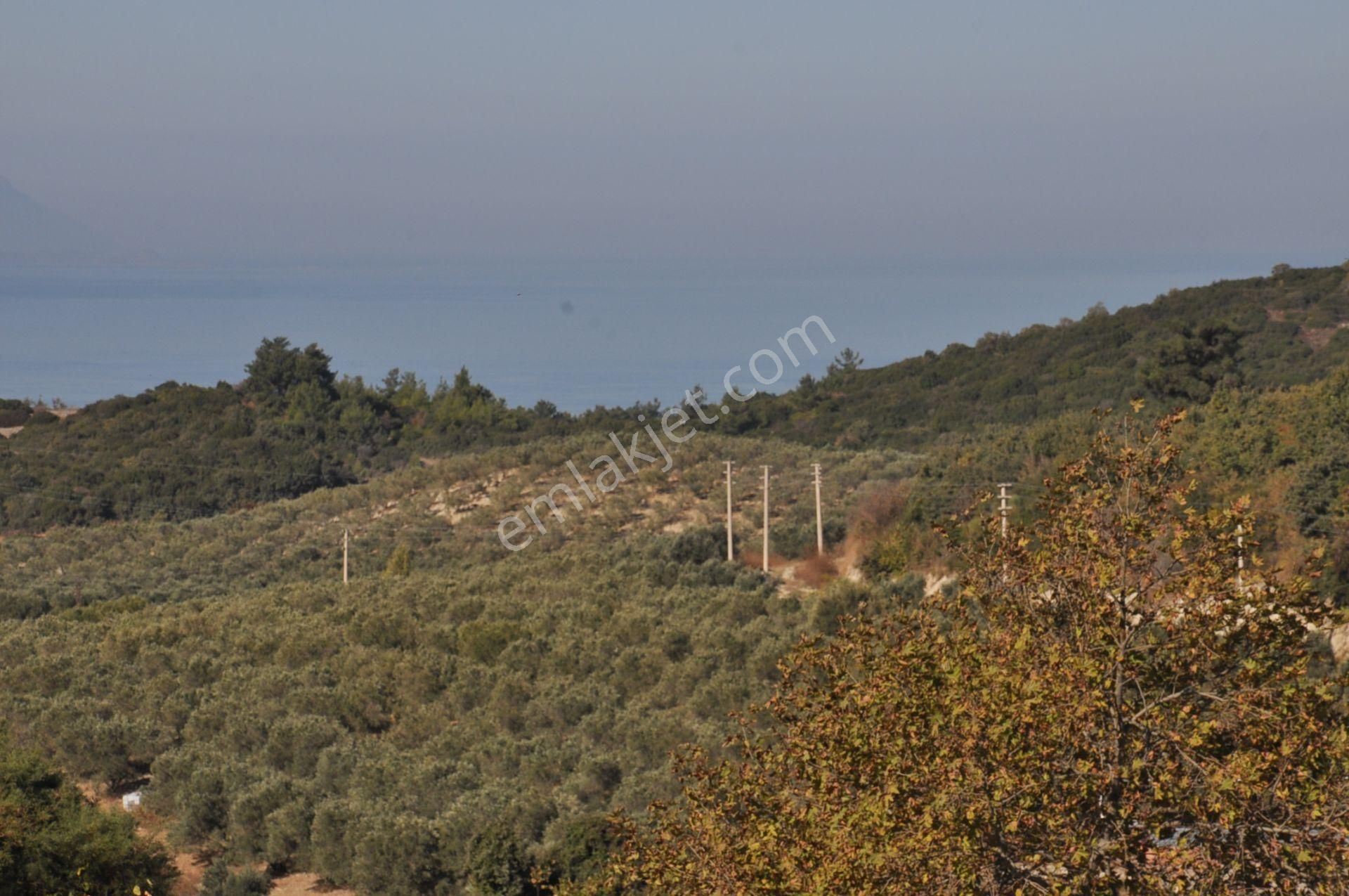 Kuşadası Golf Oteli Yanı Deniz Manzaralı 63 Dönüm Trzm+tic. Arsa - Görsel 22