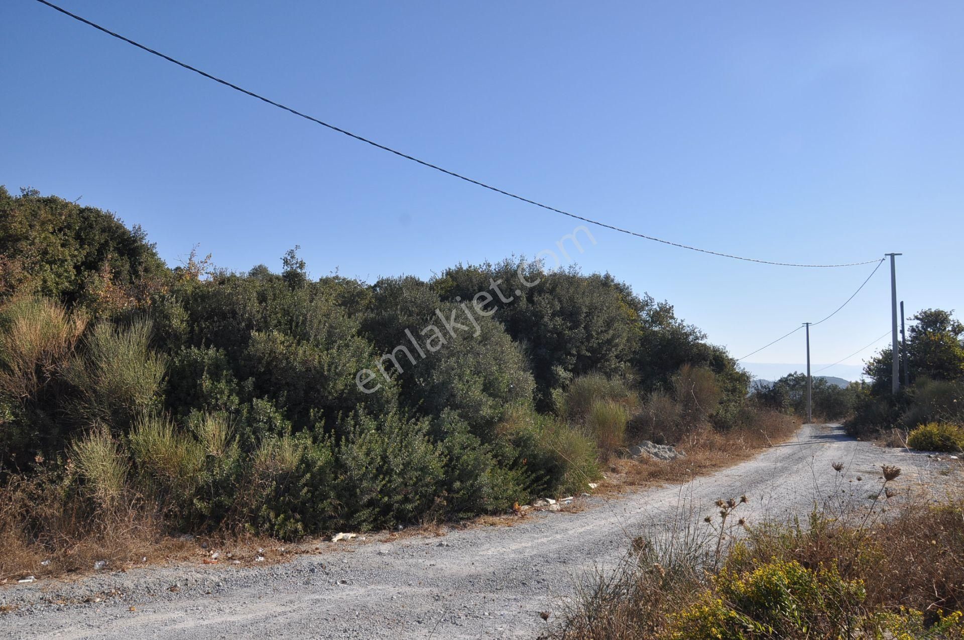 Kuşadası Golf Oteli Yanı Deniz Manzaralı 63 Dönüm Trzm+tic. Arsa - Görsel 9