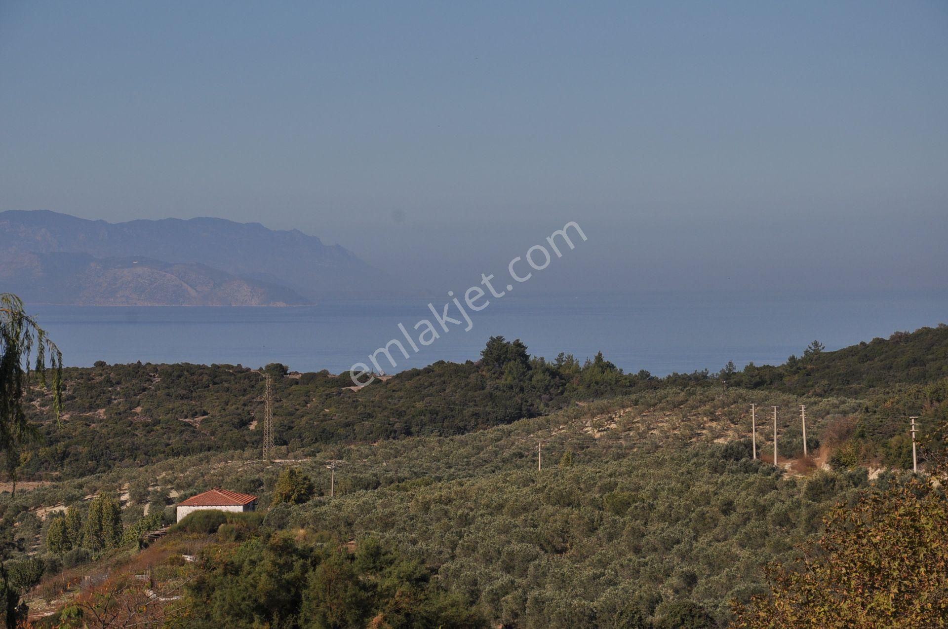 Kuşadası Golf Oteli Yanı Deniz Manzaralı 63 Dönüm Trzm+tic. Arsa - Görsel 20