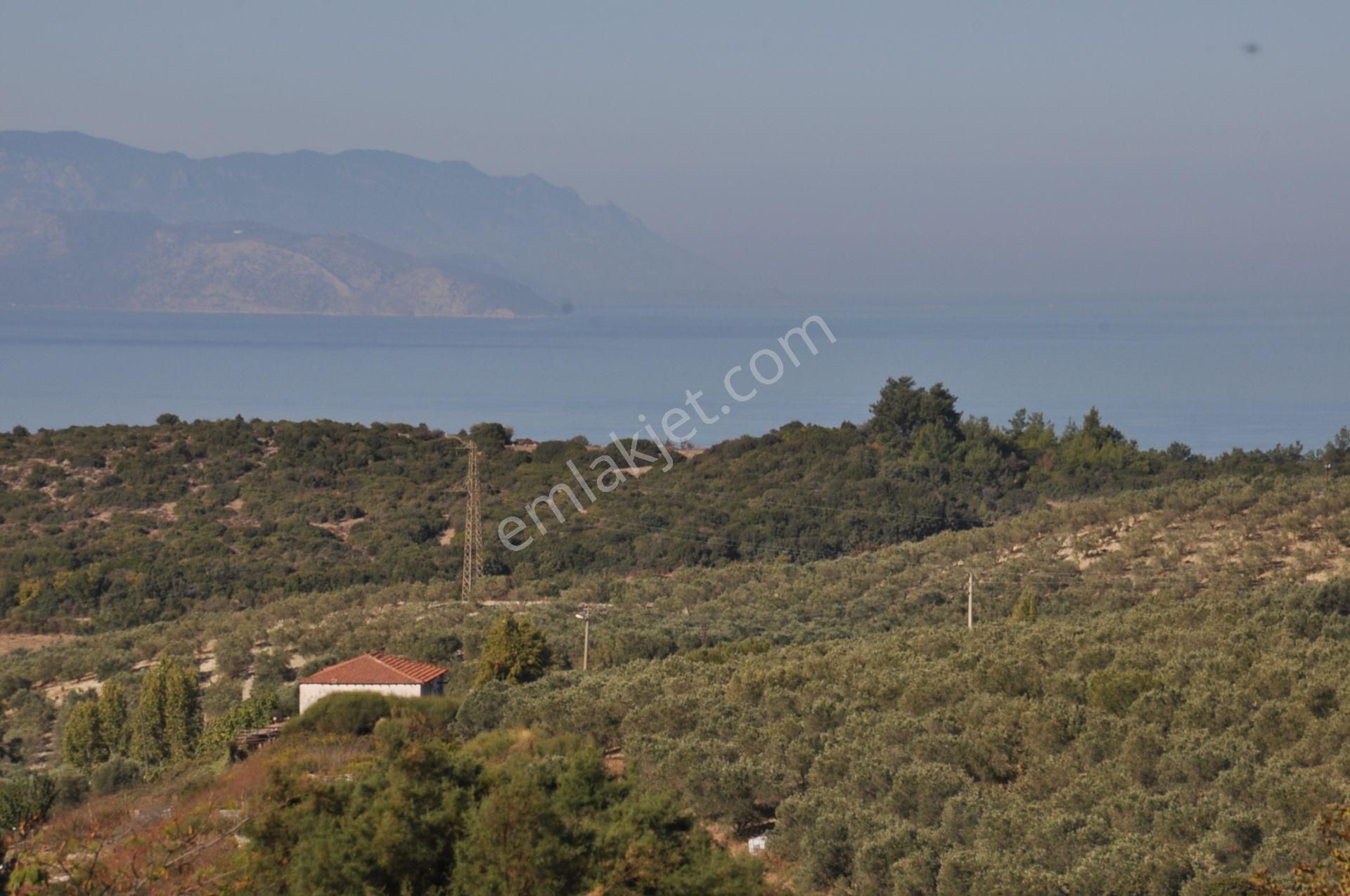 Kuşadası Golf Oteli Yanı Deniz Manzaralı 63 Dönüm Trzm+tic. Arsa - Görsel 5