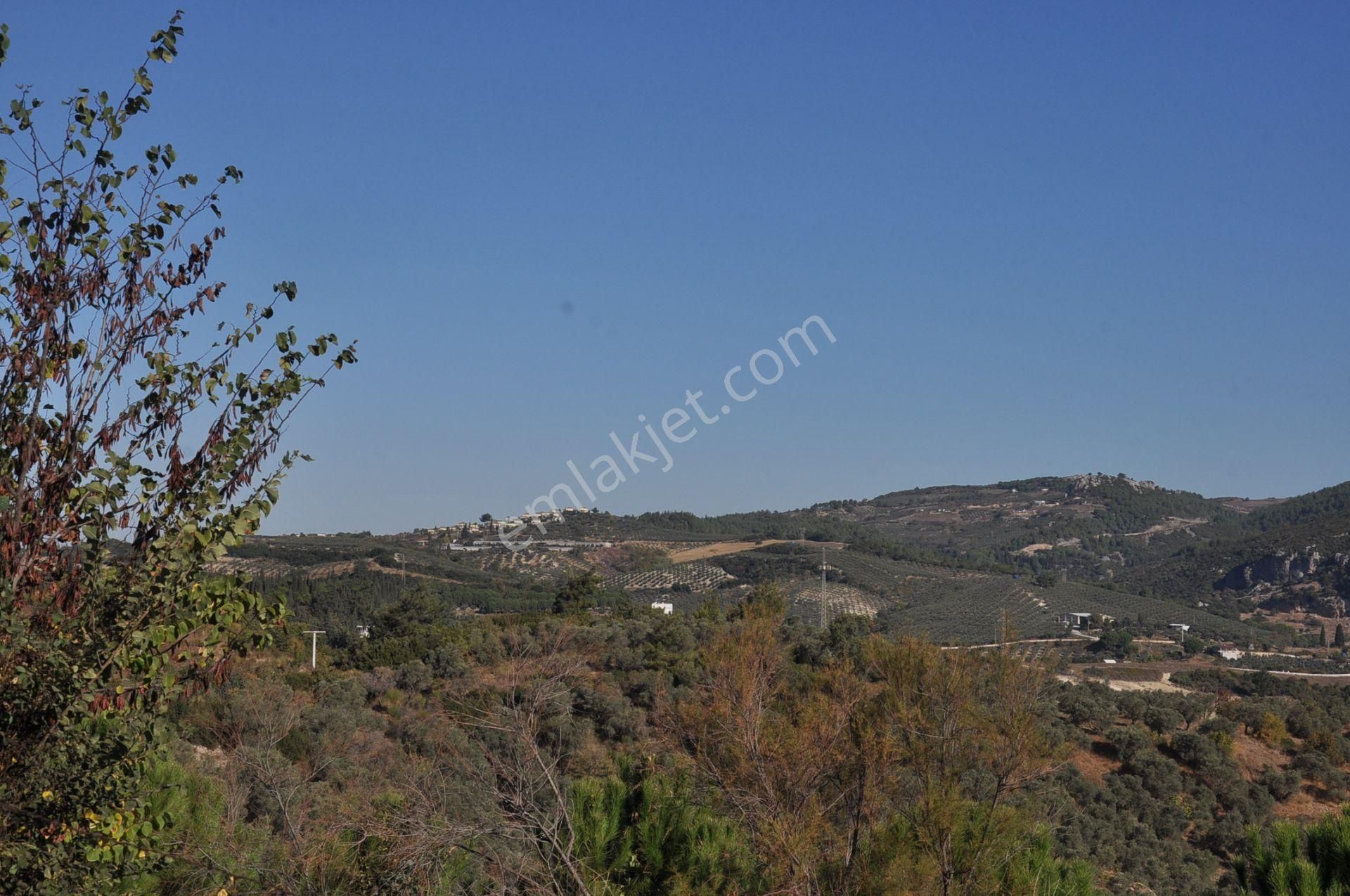 Kuşadası Golf Oteli Yanı Deniz Manzaralı 63 Dönüm Trzm+tic. Arsa - Görsel 19