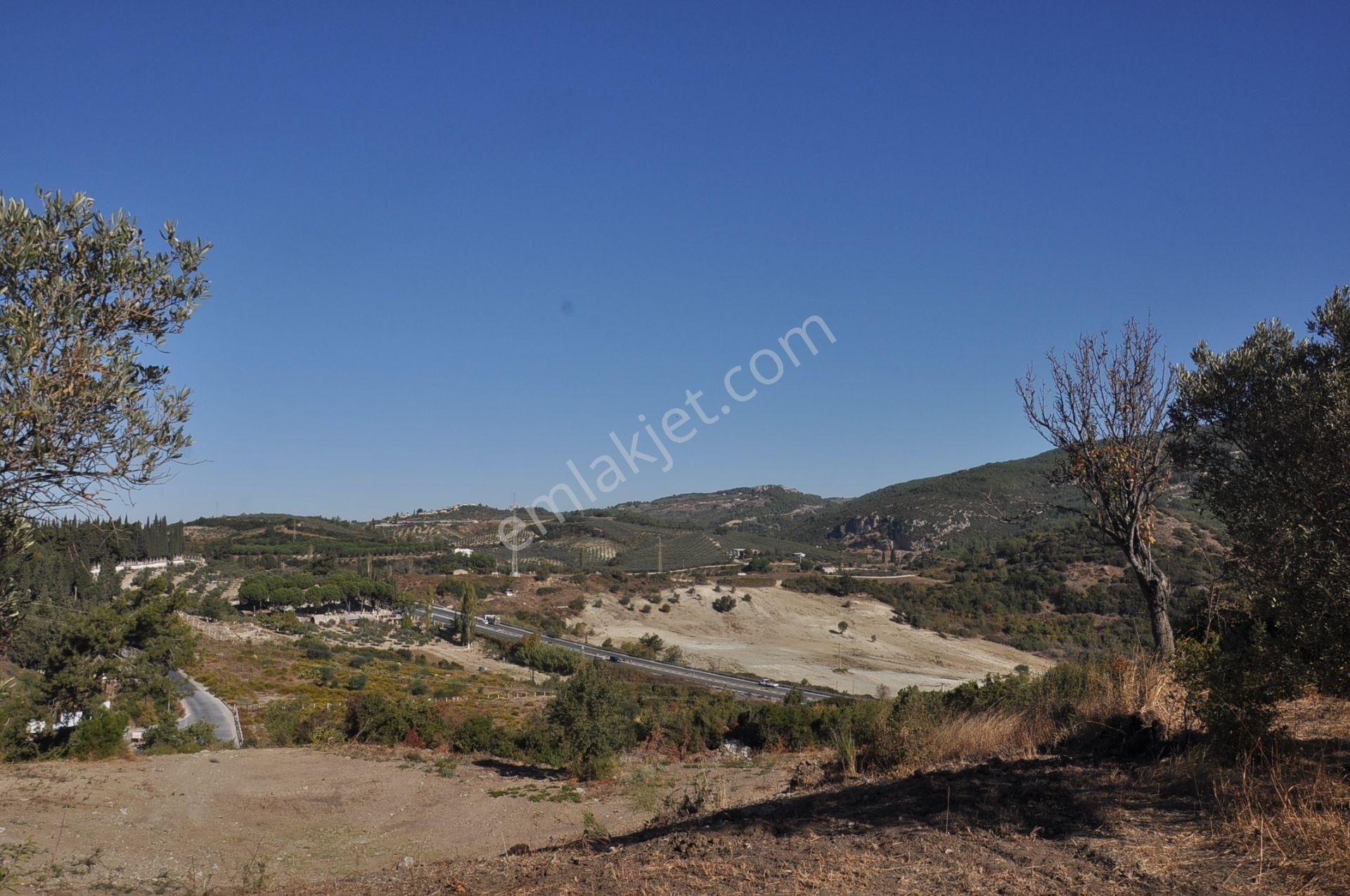 Kuşadası Golf Oteli Yanı Deniz Manzaralı 63 Dönüm Trzm+tic. Arsa - Görsel 31