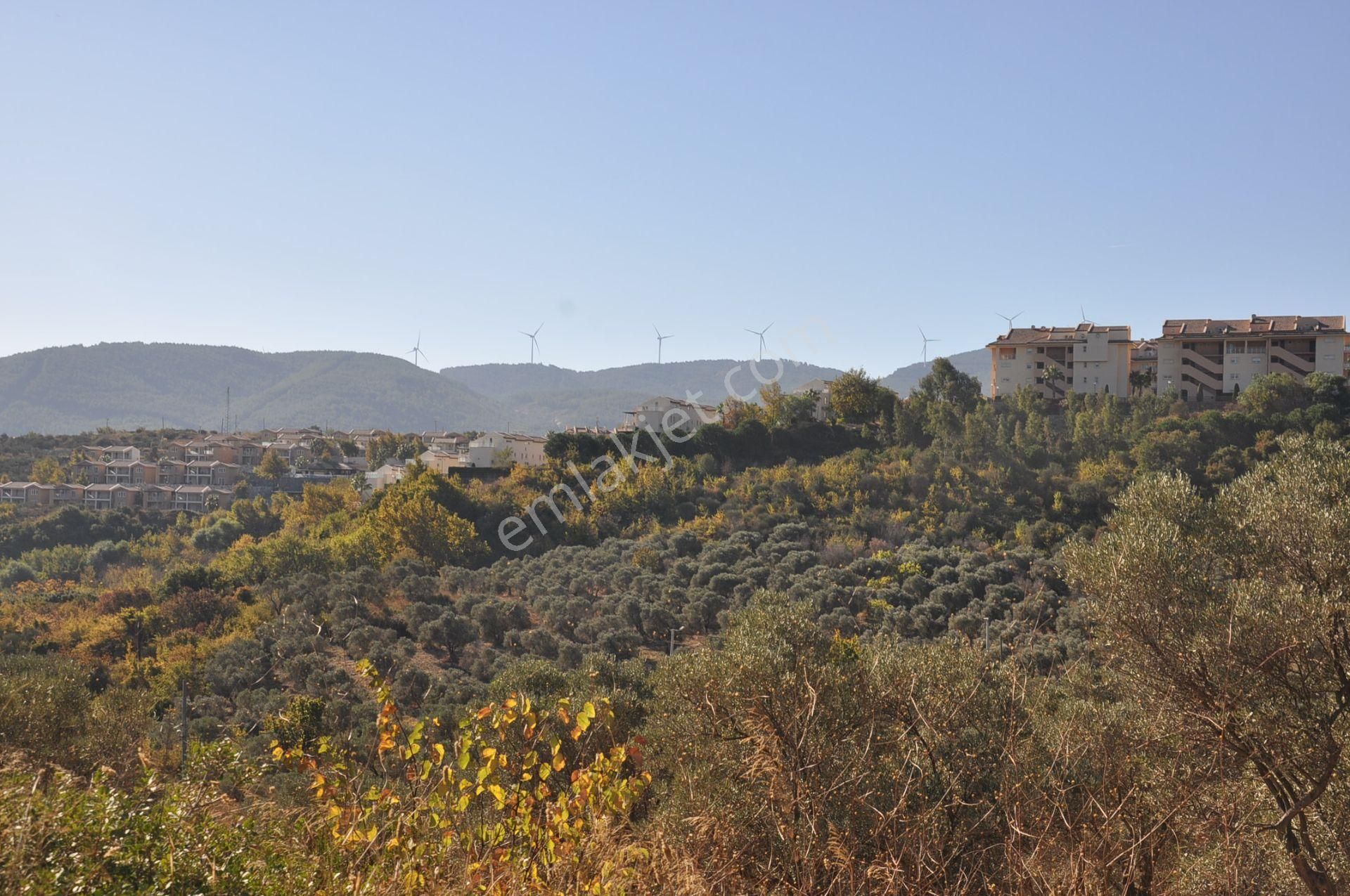 Kuşadası Golf Oteli Yanı Deniz Manzaralı 63 Dönüm Trzm+tic. Arsa - Görsel 11