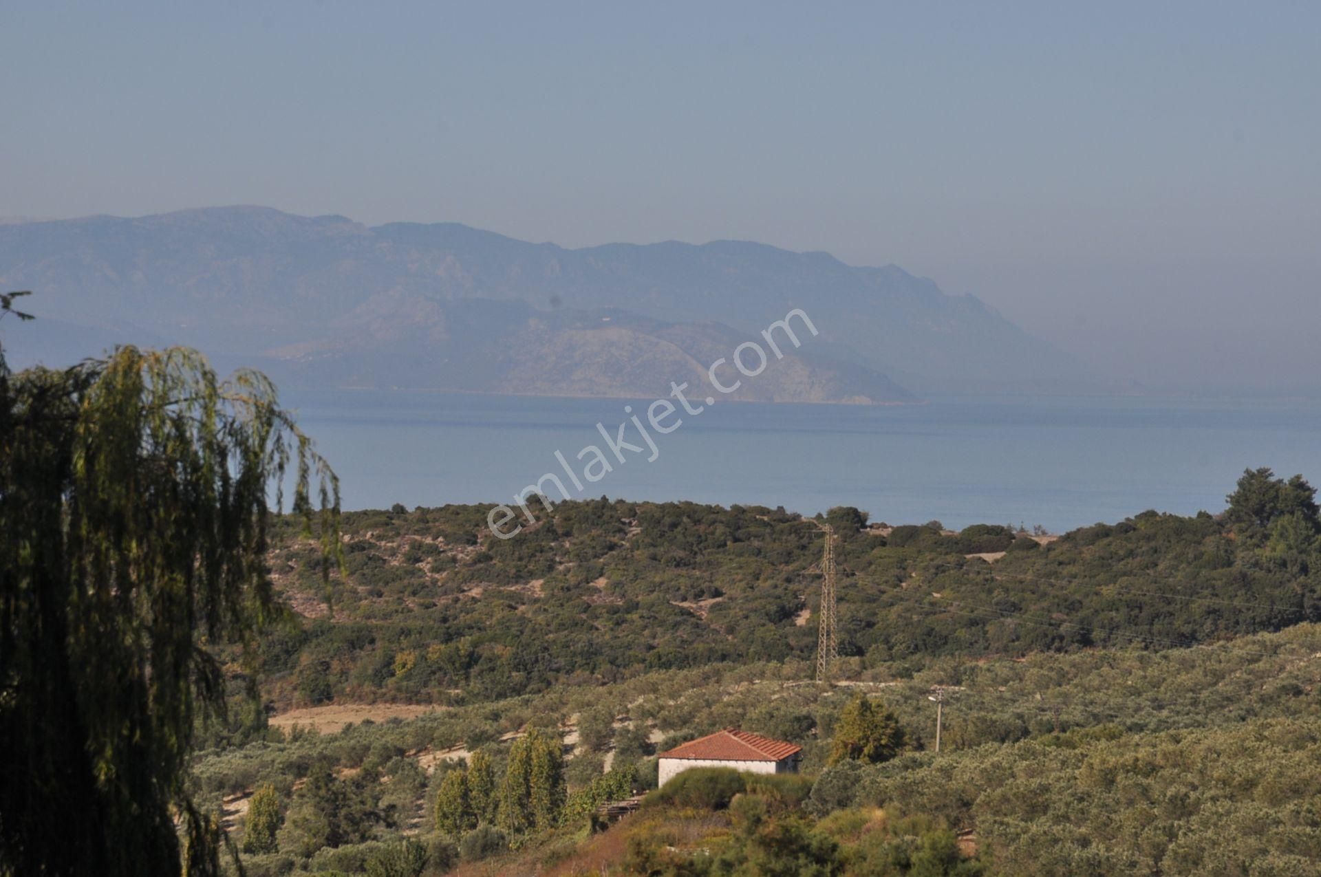 Kuşadası Golf Oteli Yanı Deniz Manzaralı 63 Dönüm Trzm+tic. Arsa