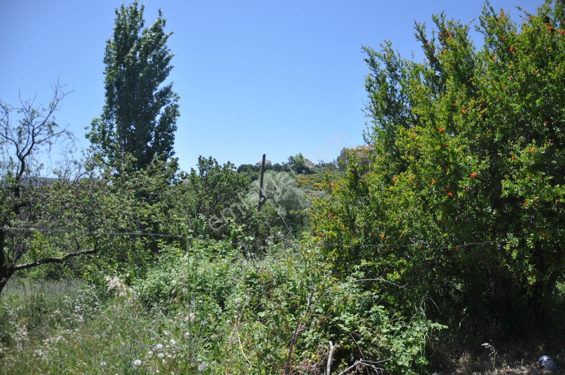 Kuşadası Golf Otelin Yanı 26 Dönüm Turizim Ve Ticari İmarlı Arsa - Görsel 35