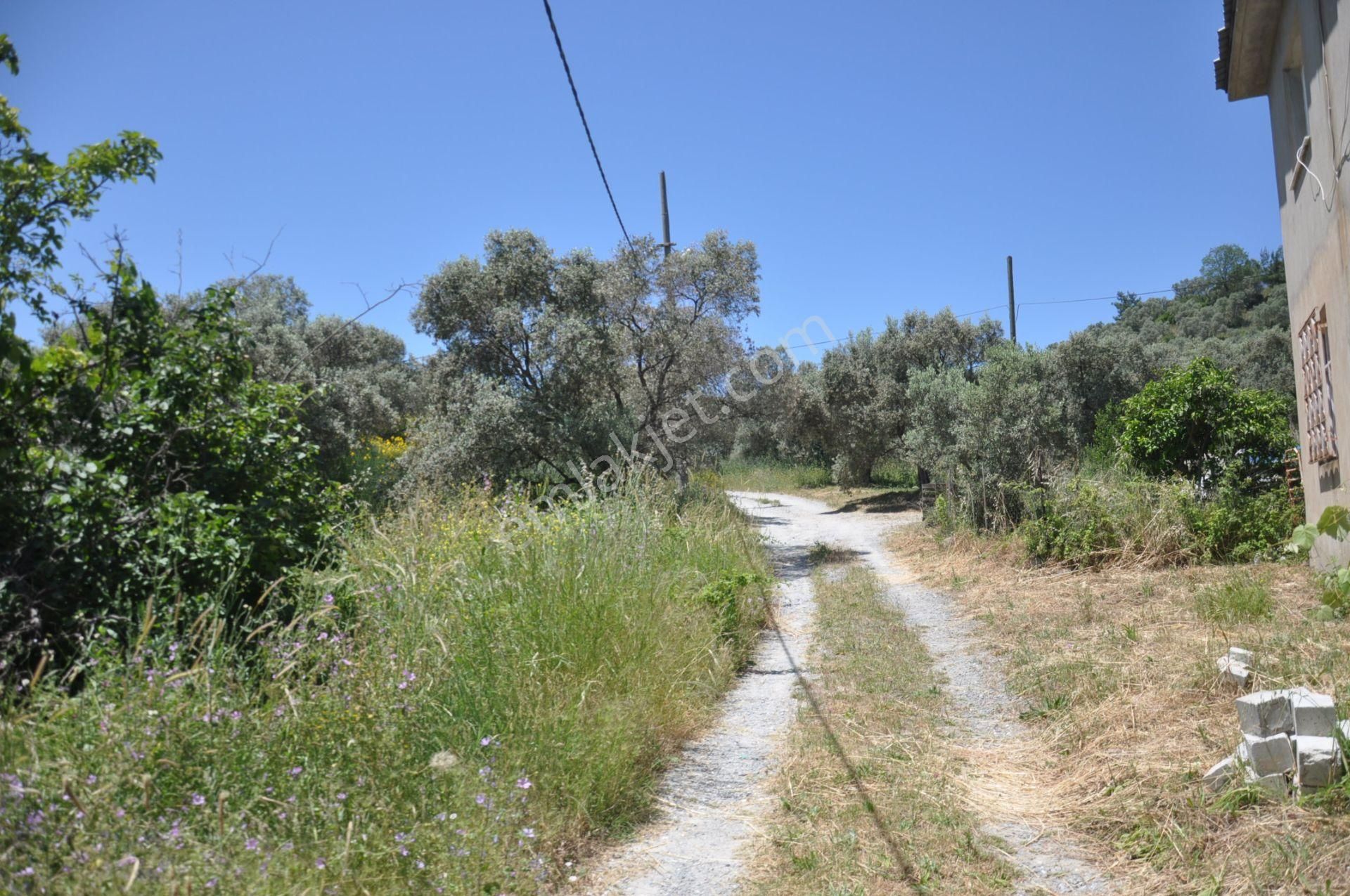 Kuşadası Golf Otelin Yanı 26 Dönüm Turizim Ve Ticari İmarlı Arsa - Görsel 14