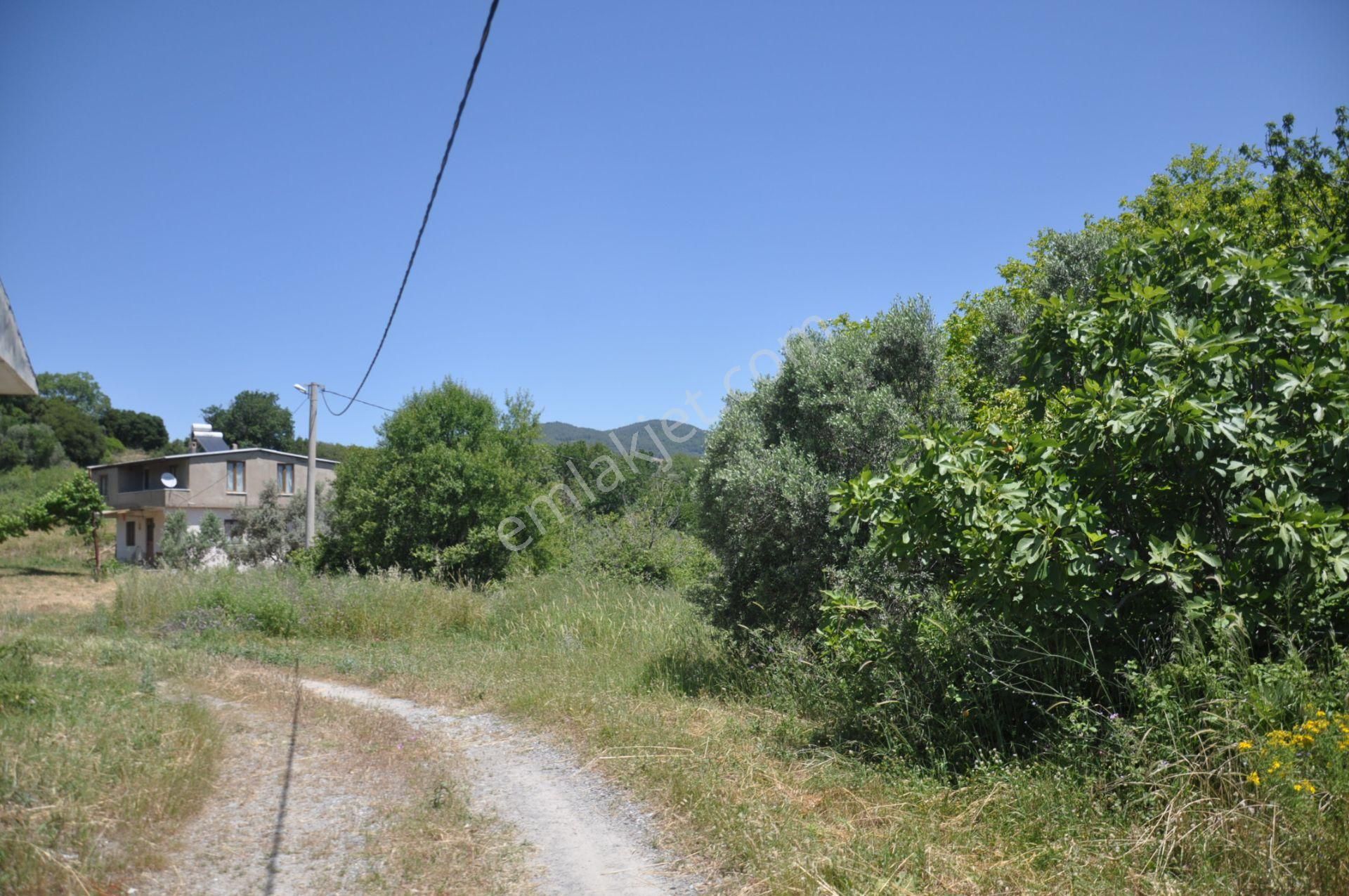 Kuşadası Golf Otelin Yanı 26 Dönüm Turizim Ve Ticari İmarlı Arsa - Görsel 30