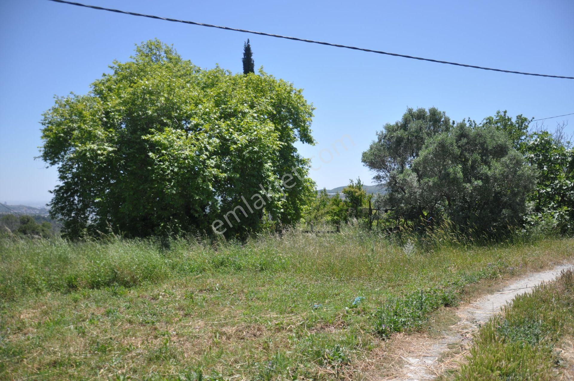 Kuşadası Golf Otelin Yanı 26 Dönüm Turizim Ve Ticari İmarlı Arsa - Görsel 17