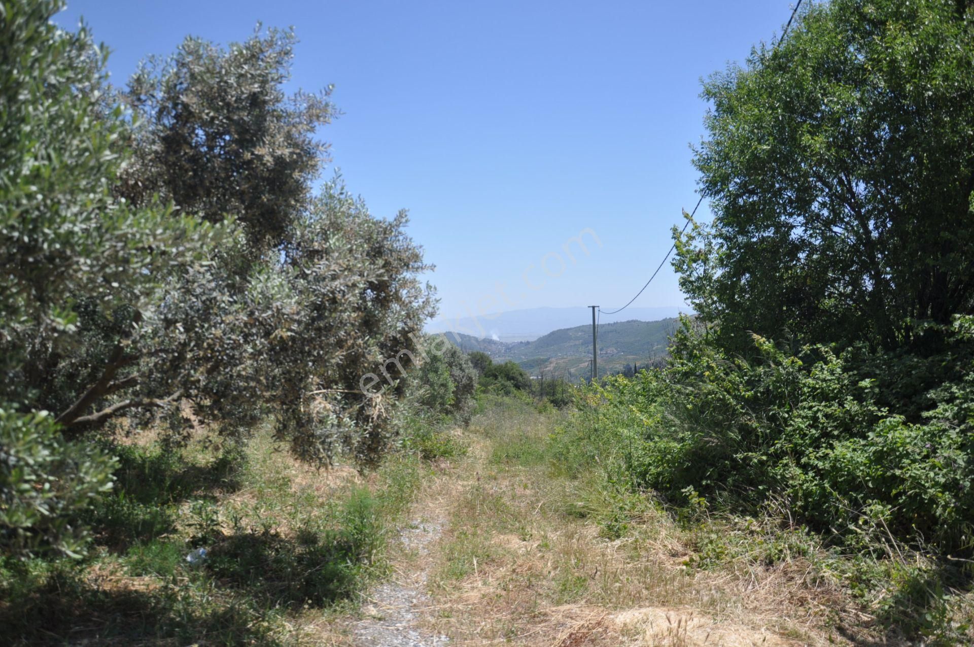 Kuşadası Golf Otelin Yanı 26 Dönüm Turizim Ve Ticari İmarlı Arsa - Görsel 25