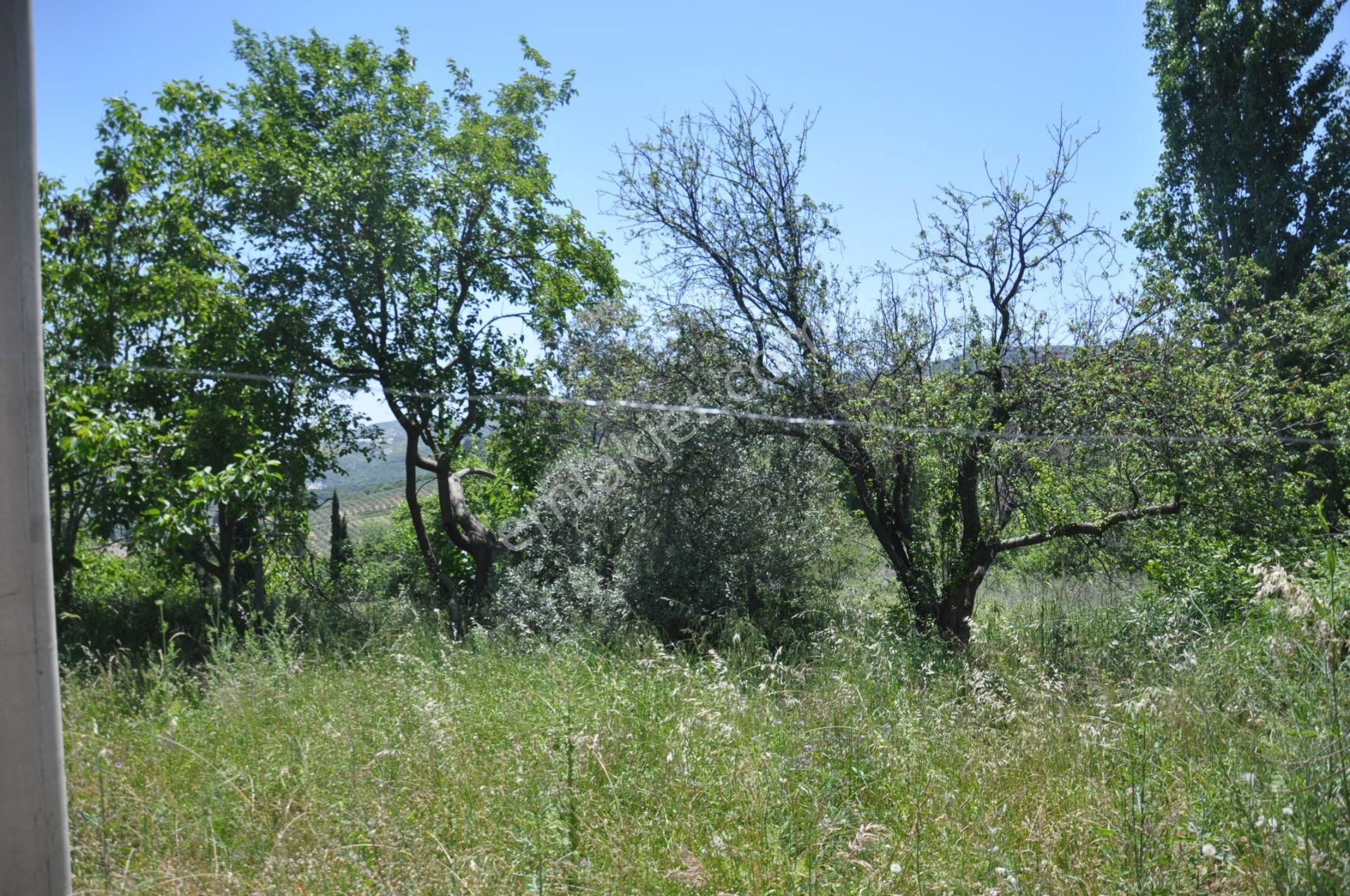 Kuşadası Golf Otelin Yanı 26 Dönüm Turizim Ve Ticari İmarlı Arsa - Görsel 29