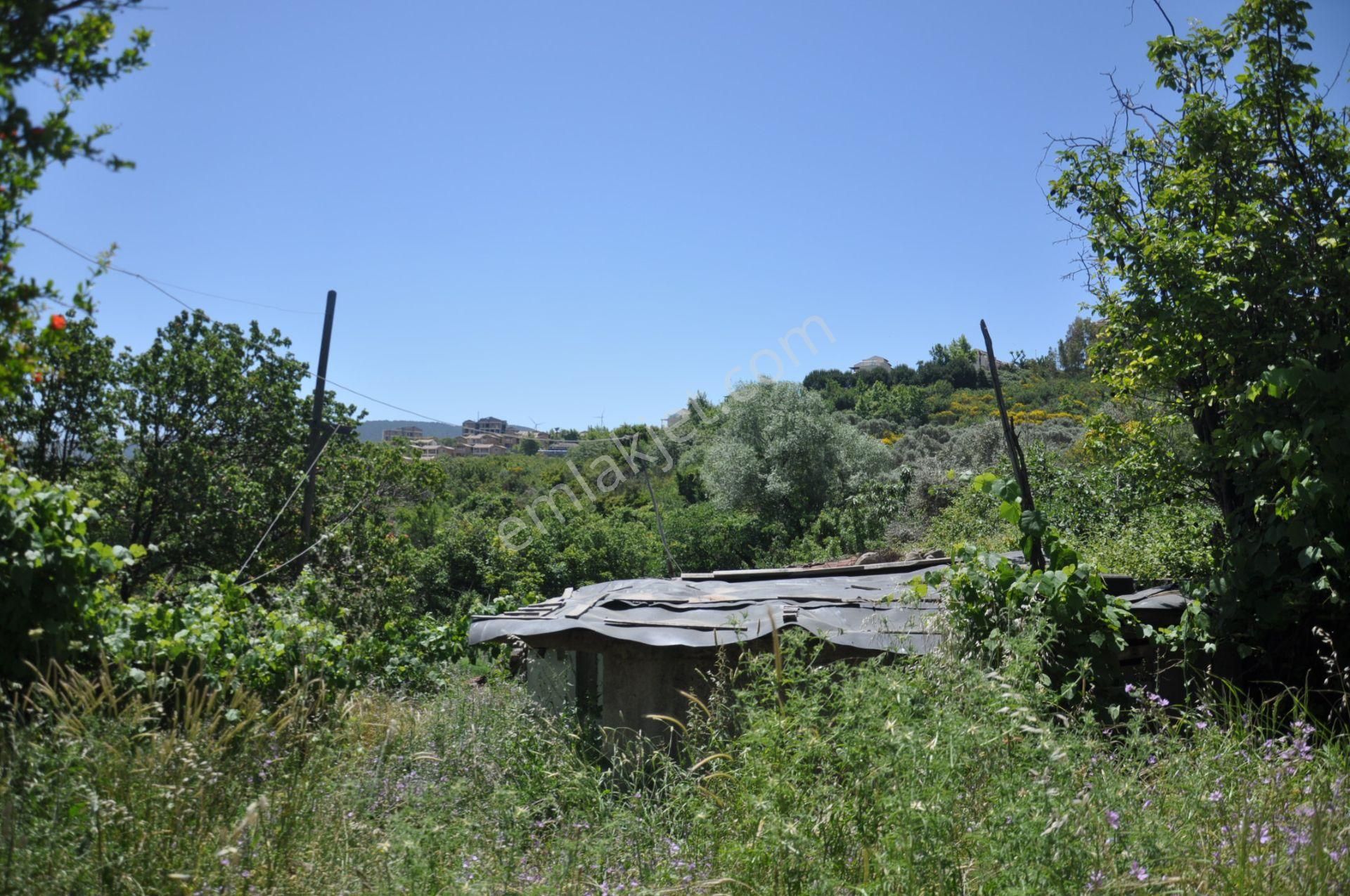 Kuşadası Golf Otelin Yanı 26 Dönüm Turizim Ve Ticari İmarlı Arsa - Görsel 5