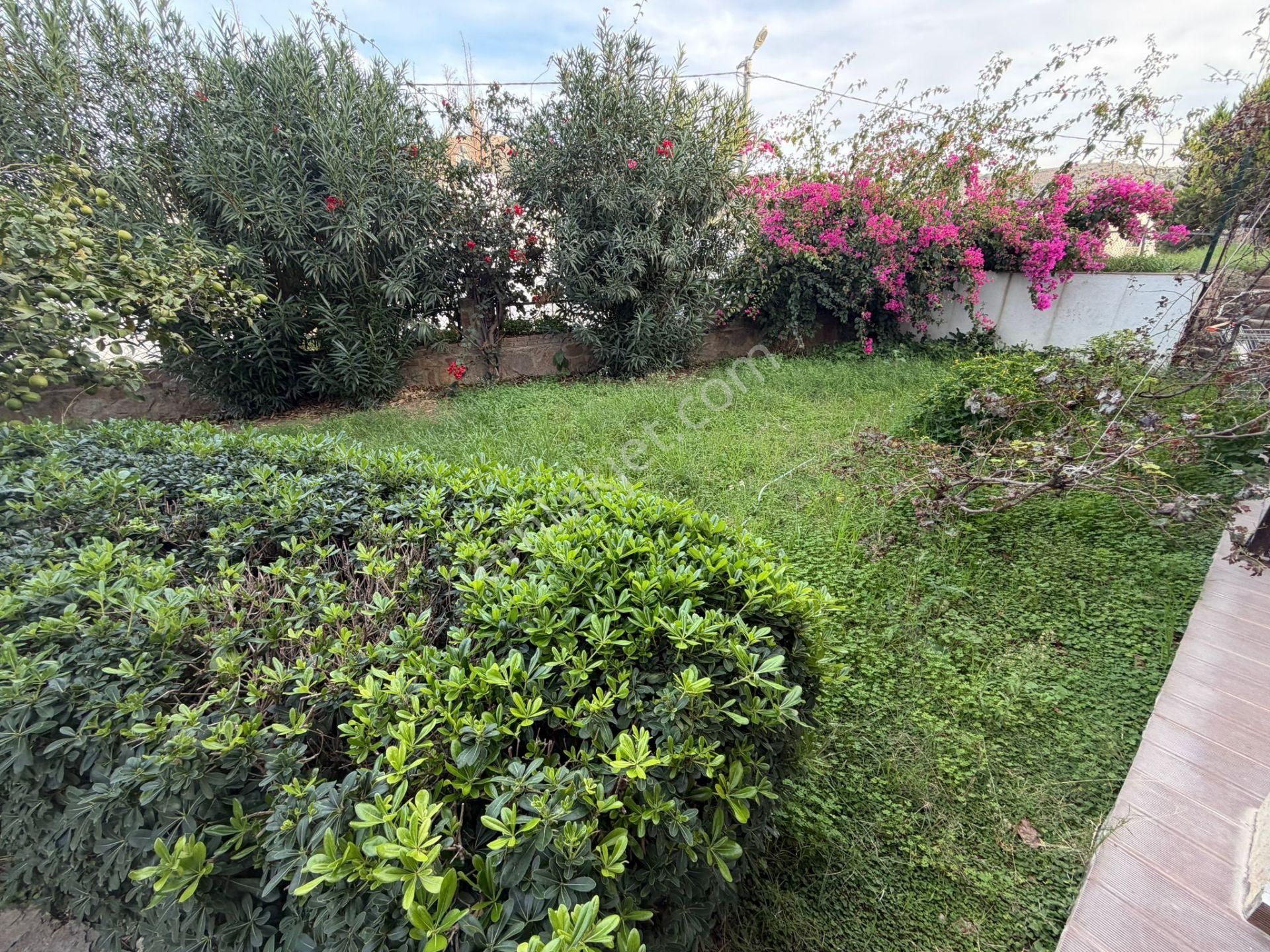 Küçükbük Royal Garden'da Doğa Ve Denizle İç İçe Müstakil Yaşam - Görsel 3