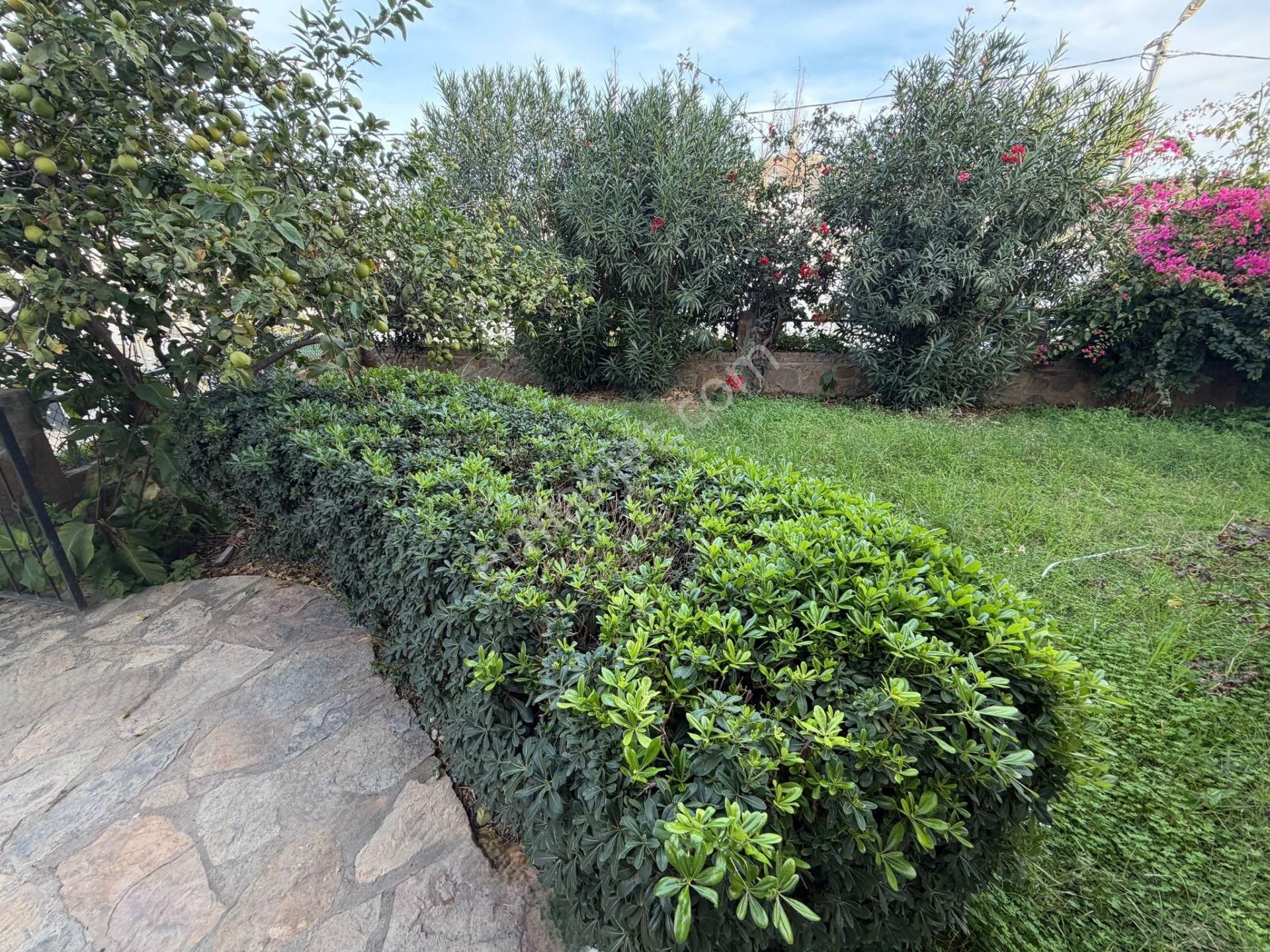 Küçükbük Royal Garden'da Doğa Ve Denizle İç İçe Müstakil Yaşam - Görsel 4