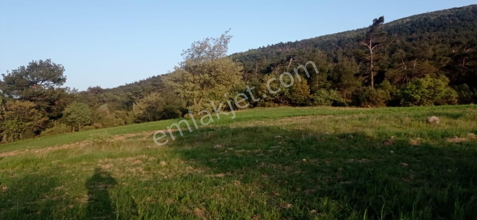 Şile De Satılık Arsa - Görsel 5