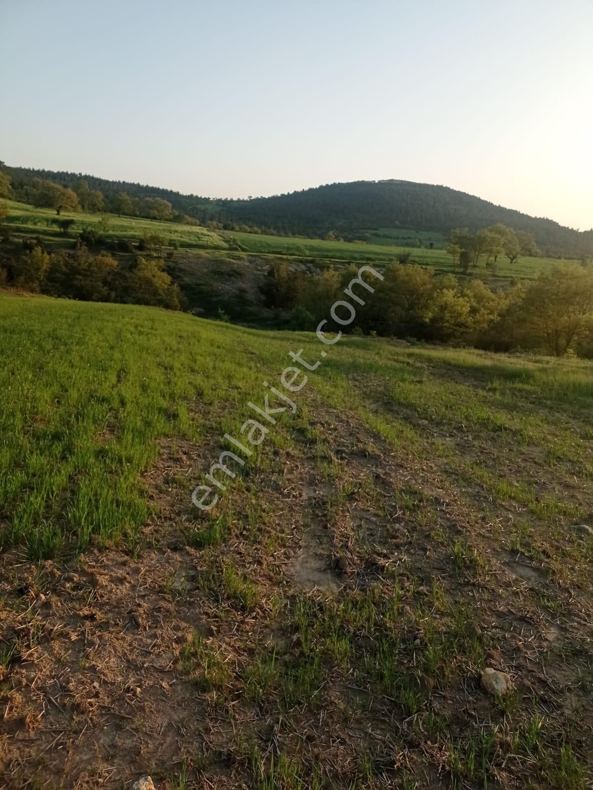 Şile De Satılık Arsa - Görsel 8