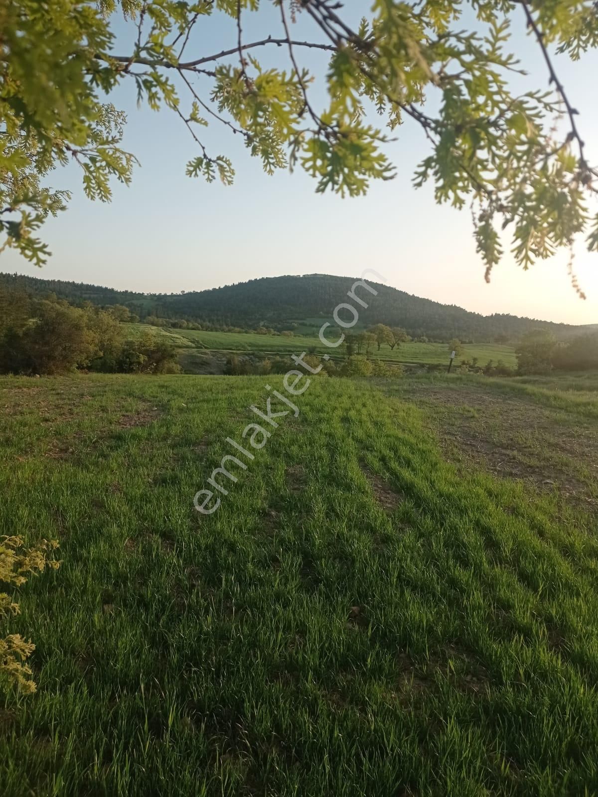 Şile De Satılık Arsa - Görsel 9