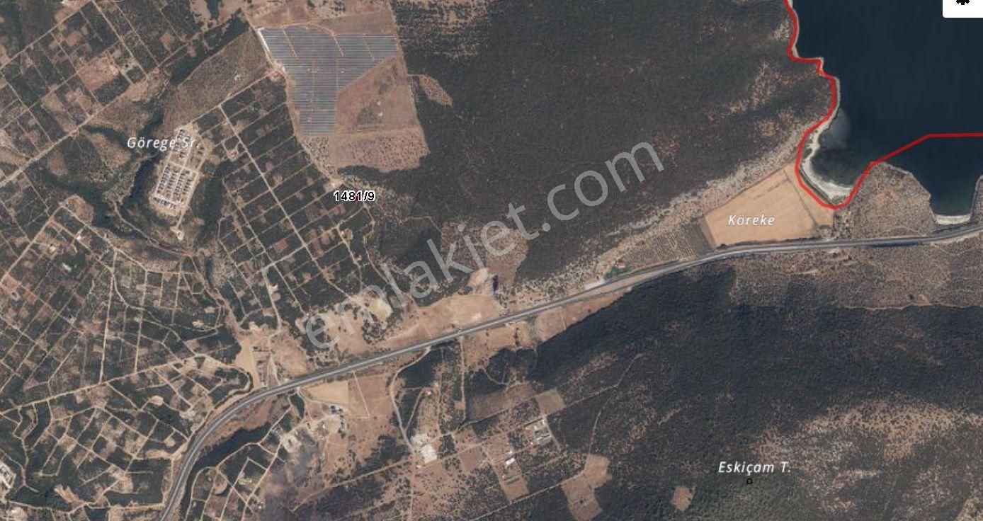 🏡 Didim Akyeniköy’de Kaçırılmayacak Villa Arsası! 🌿