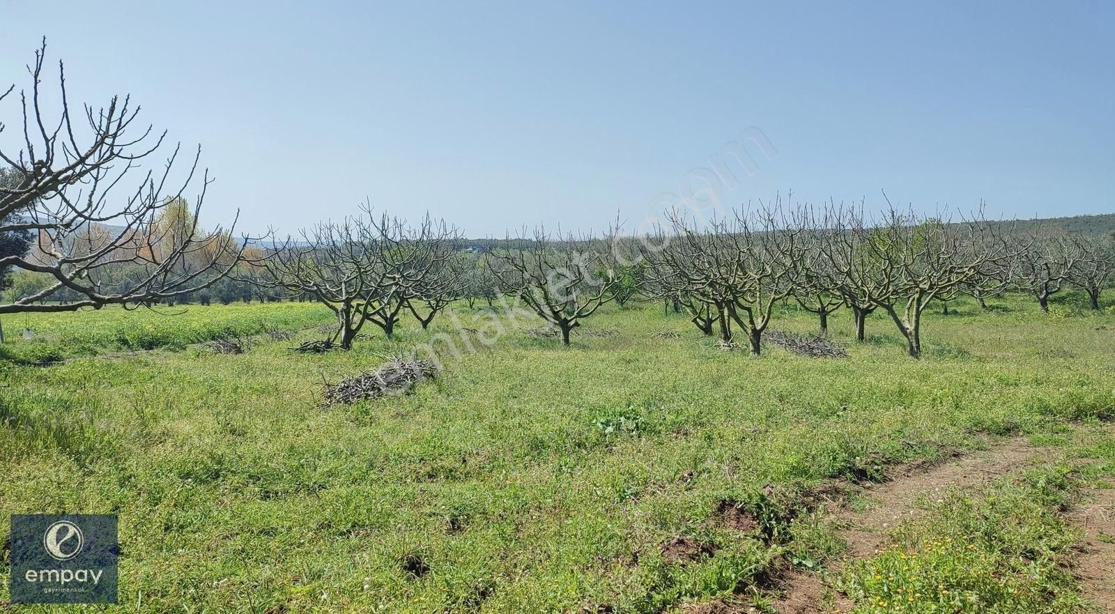 Empay Gayrimenkul'den Mudanya Yalıçiftlik'te Satılık Tarla - Görsel 2