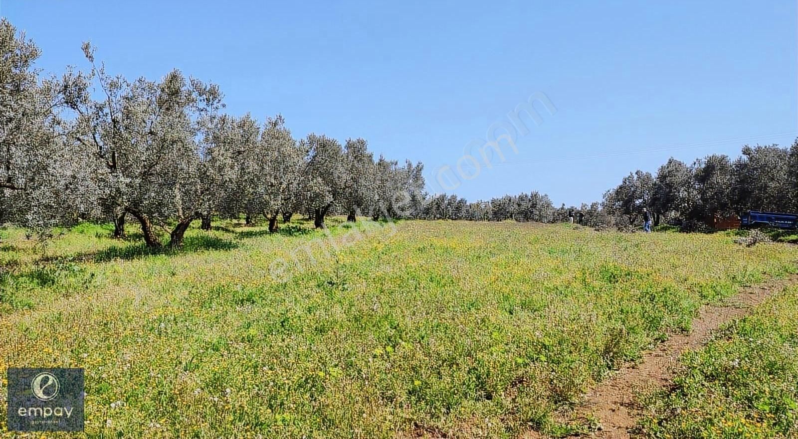 Empay Gayrimenkul'den Mudanya Yalıçiftlik'te Satılık Tarla - Görsel 24