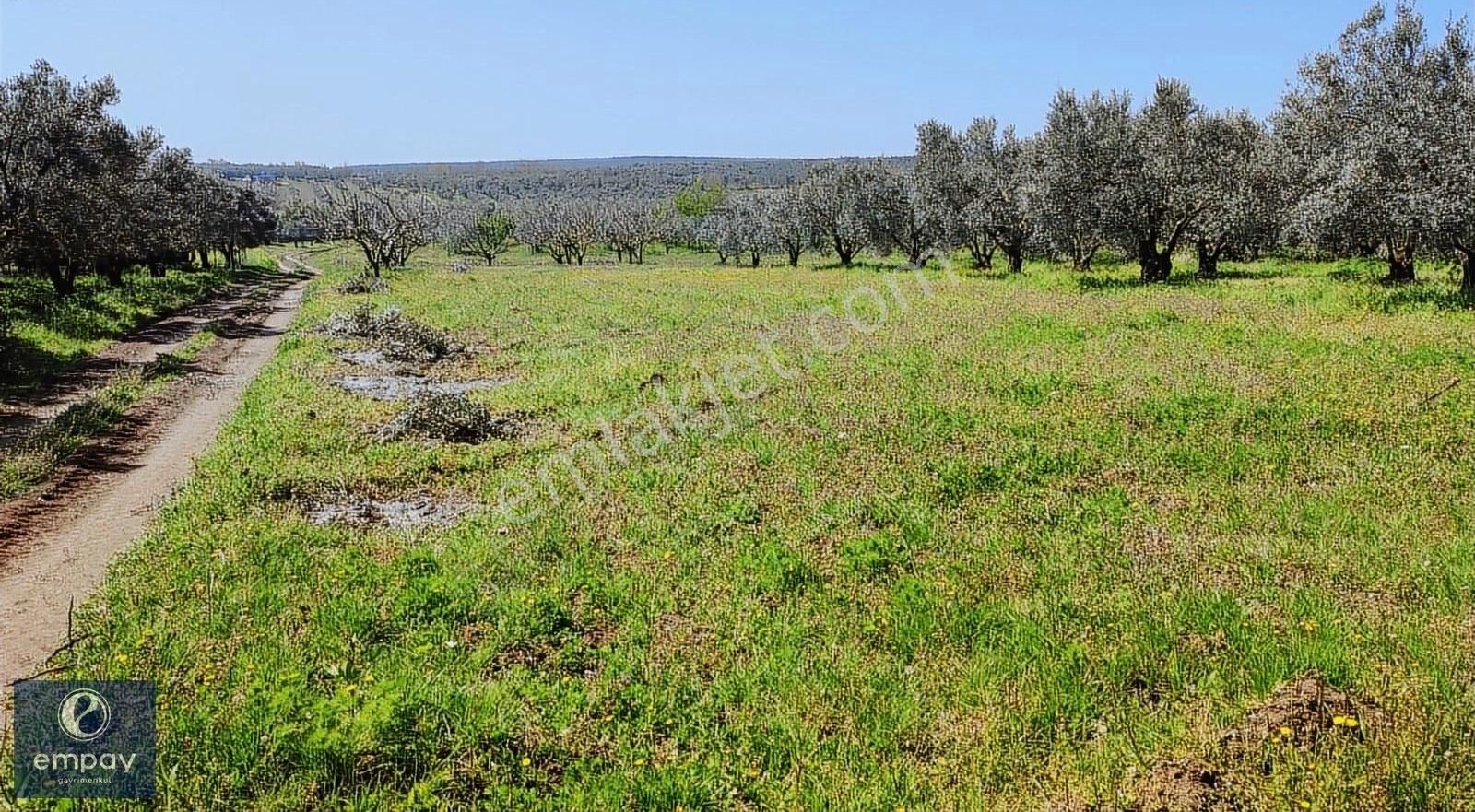 Empay Gayrimenkul'den Mudanya Yalıçiftlik'te Satılık Tarla - Görsel 16