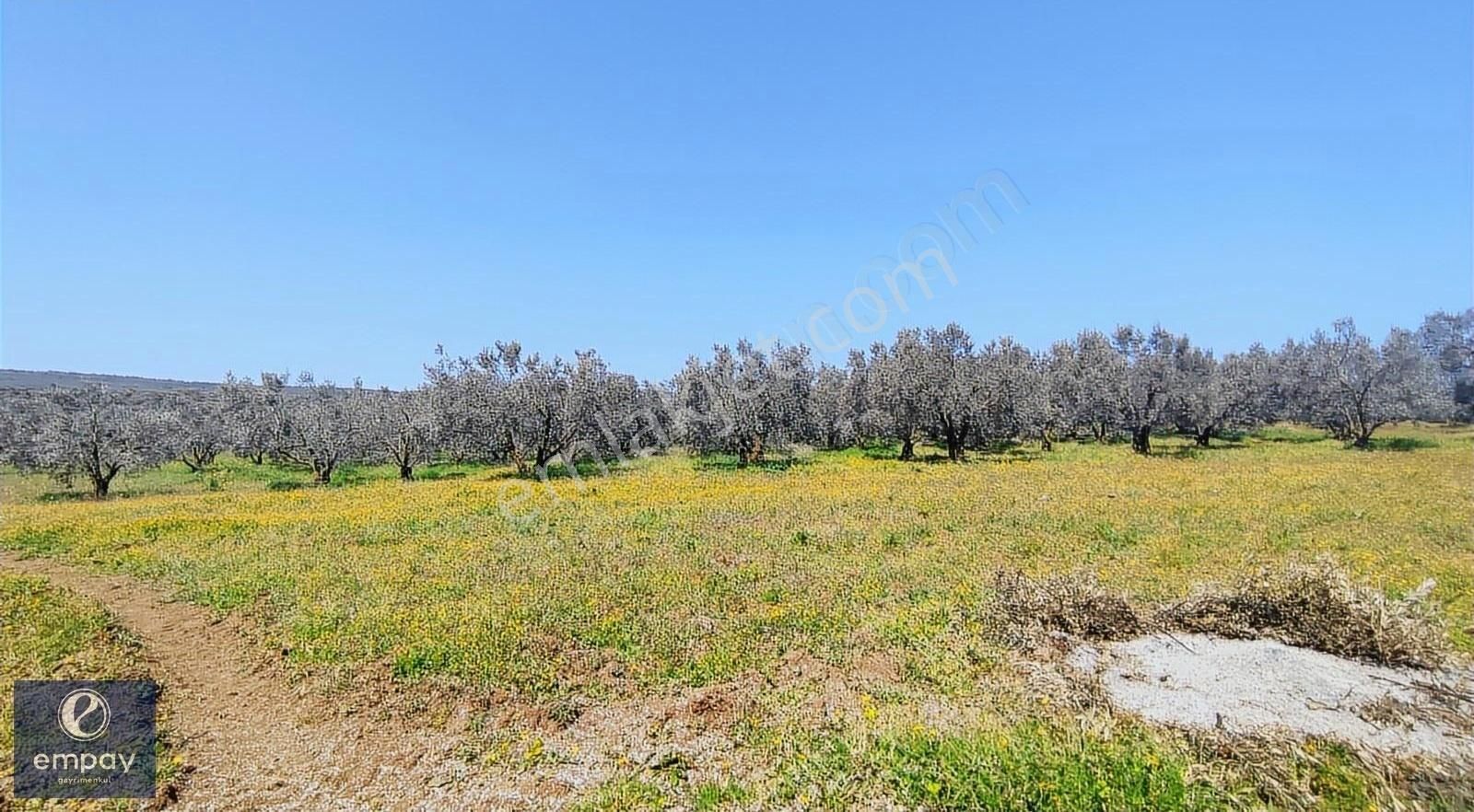 Empay Gayrimenkul'den Mudanya Yalıçiftlik'te Satılık Tarla - Görsel 6