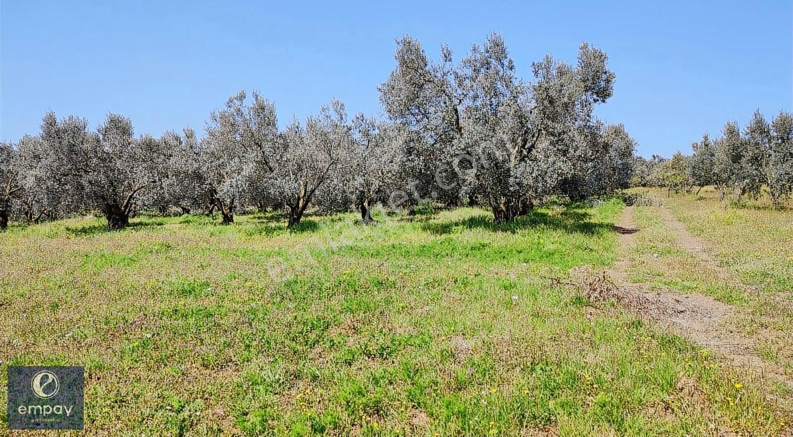 Empay Gayrimenkul'den Mudanya Yalıçiftlik'te Satılık Tarla - Görsel 5