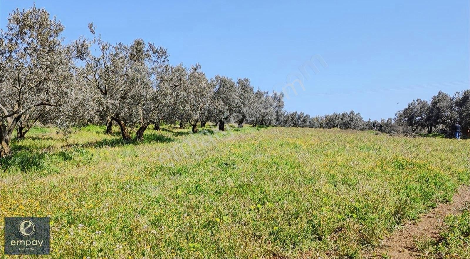 Empay Gayrimenkul'den Mudanya Yalıçiftlik'te Satılık Tarla - Görsel 25