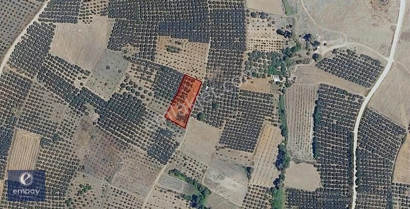 Empay Gayrimenkul'den Mudanya Yalıçiftlik'te Satılık Tarla