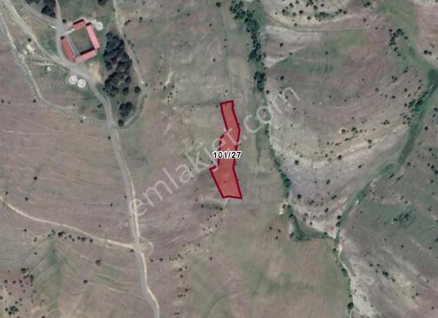 Samsun Bafra Bengü Köyünde 3.072 M² Tarla Satılıktır